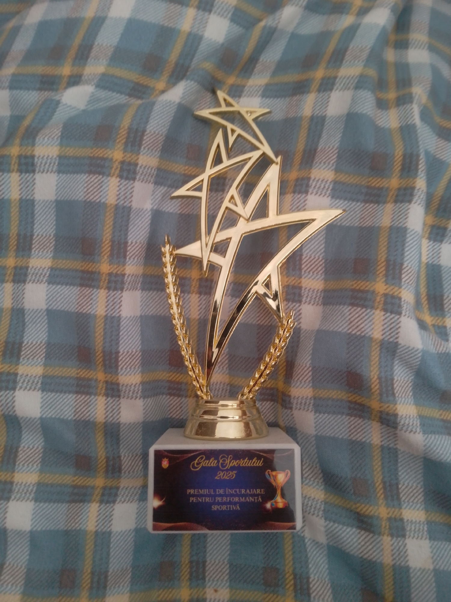An award trophy is centrally positioned on a white rectangular base, which rests on a blue and yellow plaid fabric surface. The trophy features a golden star design with interwoven elements, and on either side of the star, there are golden wheat stalks. The white base has a label with text and an image of a trophy. The text on the label reads "Gala Sportului 2025 PREMIUL DE INCURAJARE PENTRU PERFORMANTA SPORTIVA". The fabric appears to be a blanket or cloth. The image was captured from a top-down perspective, with the trophy in focus. The scene is indoors. The image does not provide any information that would allow for the determination of a location in the city of Anenii Noi, Moldova.