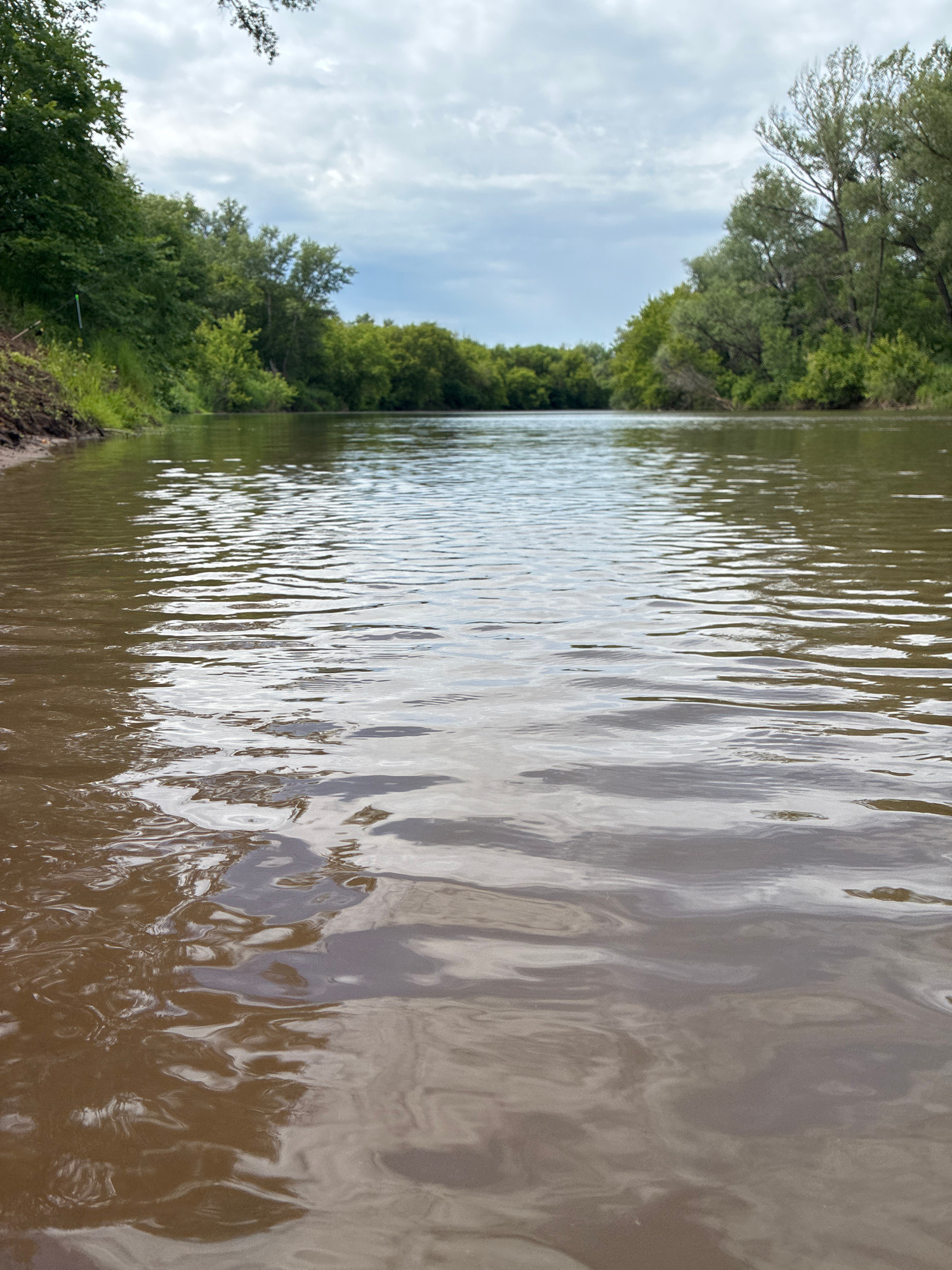 A low-angle, wide shot captures a muddy river flowing through a forested area under an overcast sky. The water occupies the foreground, with ripples reflecting the dull light. The riverbanks are lined with dense green trees, characteristic of a temperate forest. The scene is devoid of people or any man-made structures, suggesting a natural, unpopulated environment. The image appears to be taken from the edge of the river or a low boat, looking downstream. The overall impression is one of a tranquil, somewhat overcast day in a natural setting. Given the location context of Totskoye, Russia, this scene depicts a typical Russian river landscape during the warmer months.