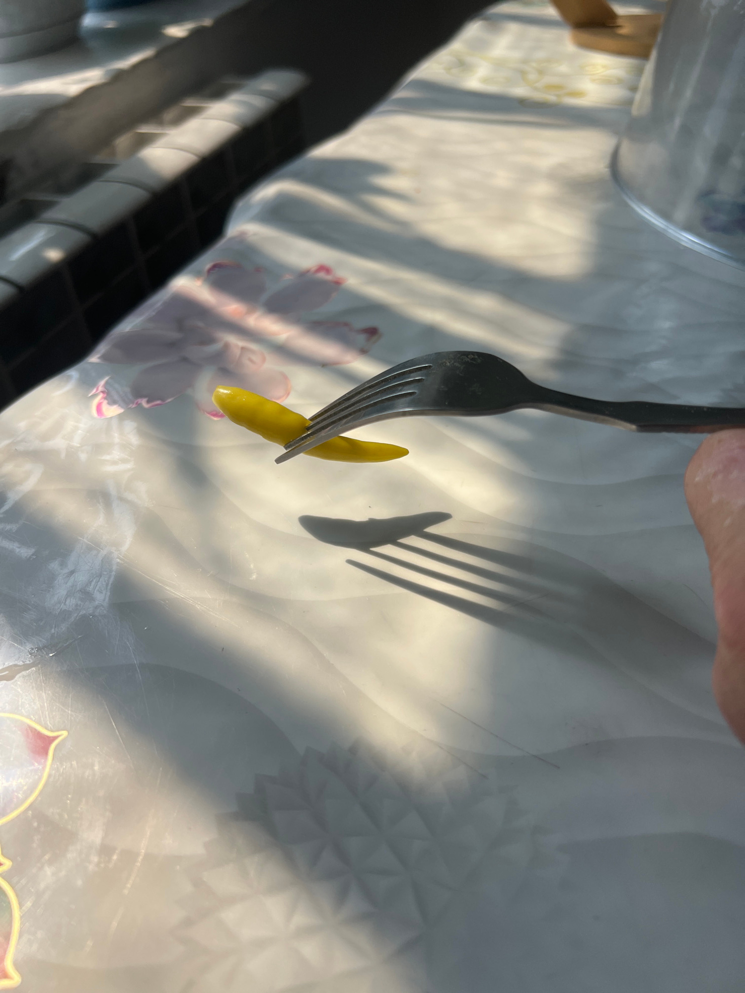 A fork is holding two small, yellow, curved objects, possibly chili peppers, over a patterned tablecloth. Sunlight casts distinct shadows from the fork and peppers onto the surface. The background is blurred, showing a dark structure with a tiled pattern and a glimpse of a clear container. The overall scene appears to be an indoor setting, likely a kitchen or dining area, with natural light filtering in. There is no information to indicate the location is in Kayıŋdı, Kyrgyzstan.