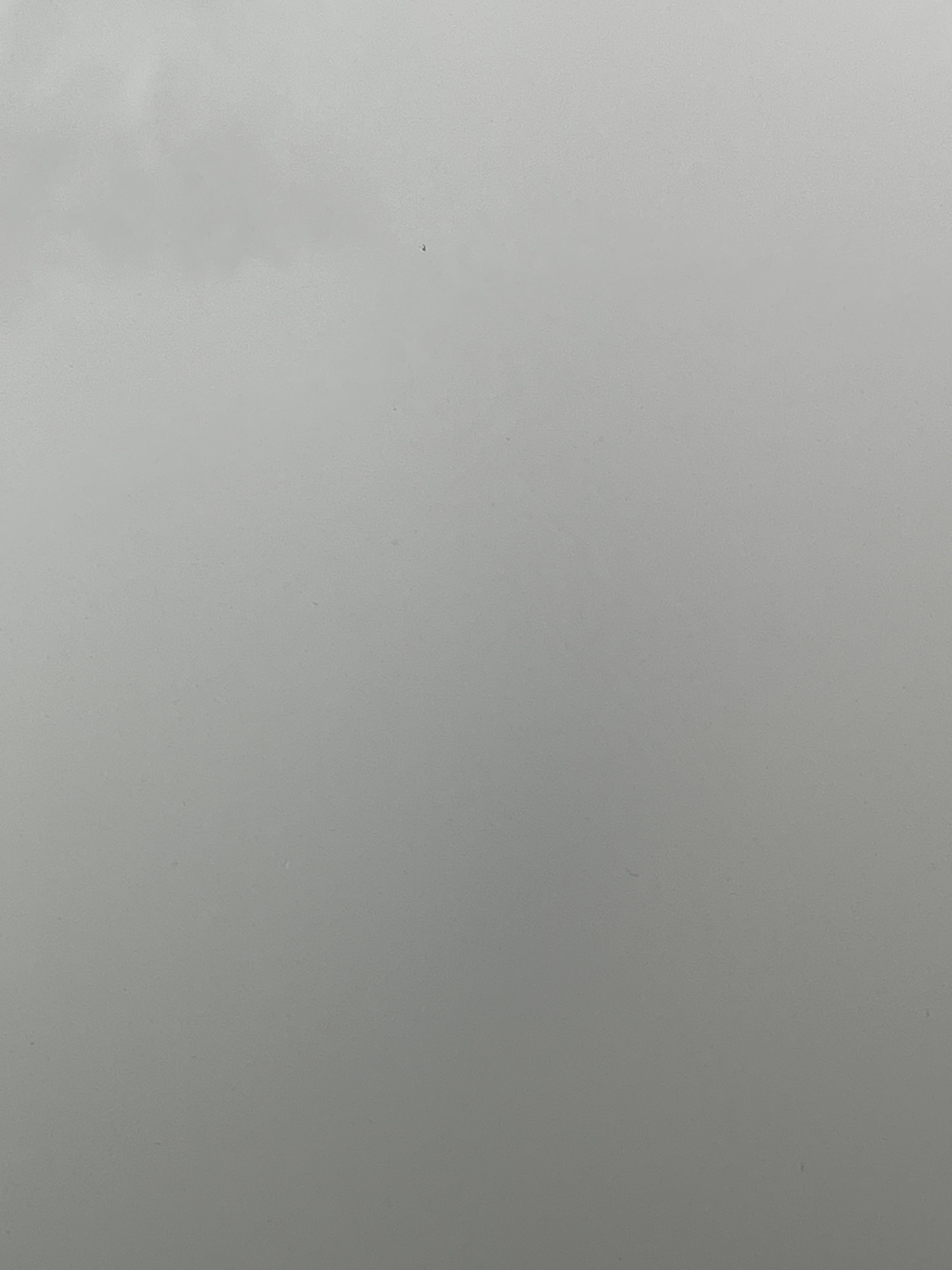 The image is a close-up, top-down view of a plain, light gray surface, possibly a wall or a tabletop. The surface appears to be matte with some subtle texture. There are a few very small, dark specks visible on the surface, which could be dust or tiny imperfections. The lighting suggests a diffused, indoor environment. No people, objects, or specific scene are depicted. The image is devoid of any text, text-like elements, or discernible location cues. Given the context of Omsk, Russia, it's a generic indoor surface.