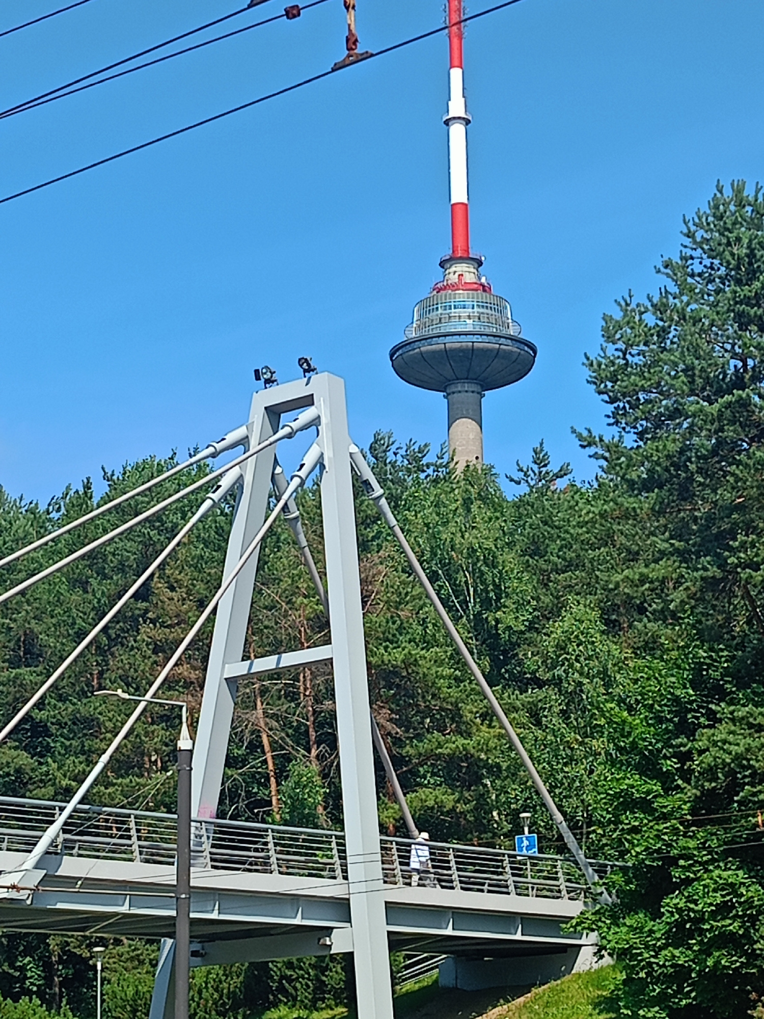 This media file captures a view of the Vilnius TV Tower, a prominent landmark in Vilnius, Lithuania. The tower, with its distinctive red and white sections and a circular observation deck, stands tall against a clear blue sky. In the foreground, a modern pedestrian bridge with a grey steel structure and cables is visible. The bridge has a railing and a walkway, with a single person walking across it. The person appears to be wearing a light-colored hat and white clothing. A blue traffic sign indicating a pedestrian path is also visible on the bridge. The scene is framed by lush green trees, suggesting a park or natural setting. The time of day appears to be daytime, with bright sunlight casting shadows. The overall impression is one of a peaceful, sunny day in a scenic urban environment.
