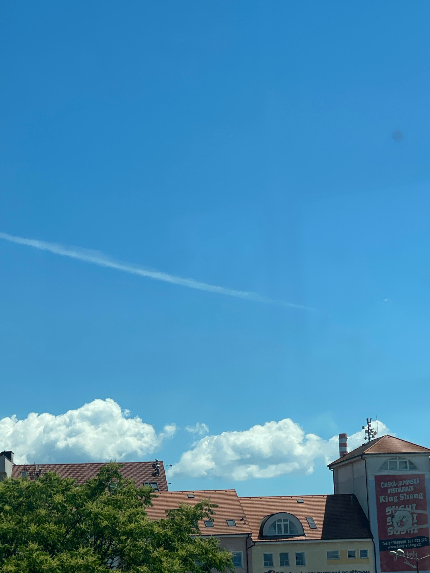The image captures a bright, sunny day with a clear blue sky dominating the upper portion. A thin, wispy contrail stretches across the sky from left to right. In the lower half of the frame, several buildings with red-tiled roofs are visible. Lush green trees with dense foliage partially obscure the view of the buildings. One building on the right features a large banner advertising "ČINSKÁ-JAPONSKÁ RESTAURACE King Sheng Sushi" with contact information and a website address: "Tel: 377549080 606 232 323 www.king-sheng.cz". Another building has a red and white striped chimney stack. The overall scene suggests an urban environment in Pilsen, Czechia, likely a street view or from an elevated vantage point. There are no people or animals visible in the frame.