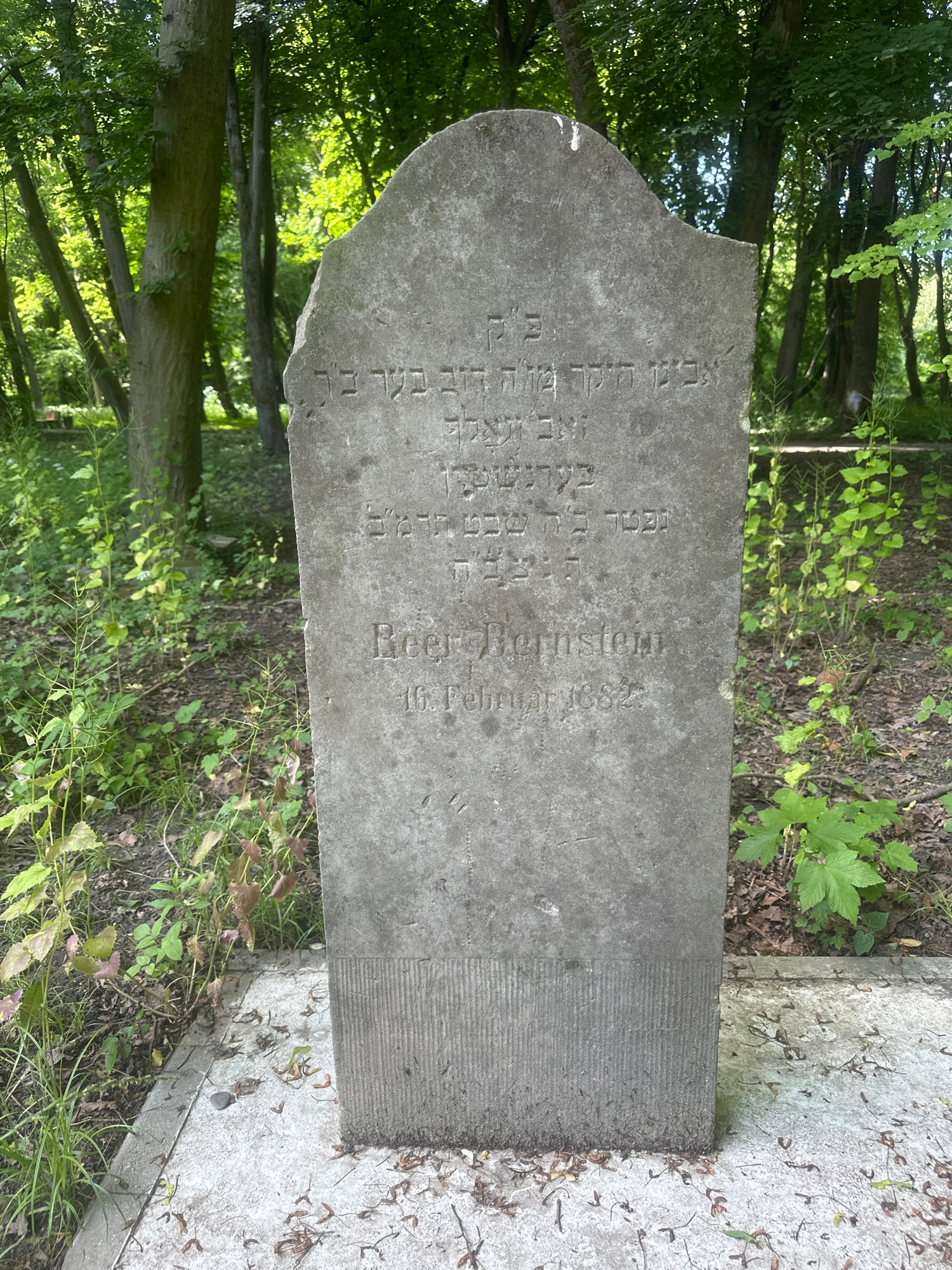 This is a vertical, eye-level medium shot of a weathered tombstone in a cemetery. The tombstone is made of gray stone and is roughly rectangular with a rounded top. It is set amongst trees and lush green foliage, suggesting an outdoor, possibly wooded, cemetery setting. The lighting indicates it's daytime, with dappled sunlight filtering through the leaves of the trees. The stone itself is heavily worn, with visible inscriptions in both Hebrew and what appears to be Latin script.
The Hebrew inscription, on the left side of the stone, is partially obscured and worn, but some letters are decipherable. The Latin inscription, on the right, is more legible and reads "Beer Bernstein" followed by "16 Februar 168". The condition of the stone and the surrounding vegetation imply the photo was taken sometime after the burial, likely in a temperate climate during a period of growth. The overall mood is somber and reflective, consistent with a cemetery environment. The inscription provides biographical details about the deceased, Beer Bernstein, and a date that is likely a birth or death date. The location context is Kaliningrad, Russia.