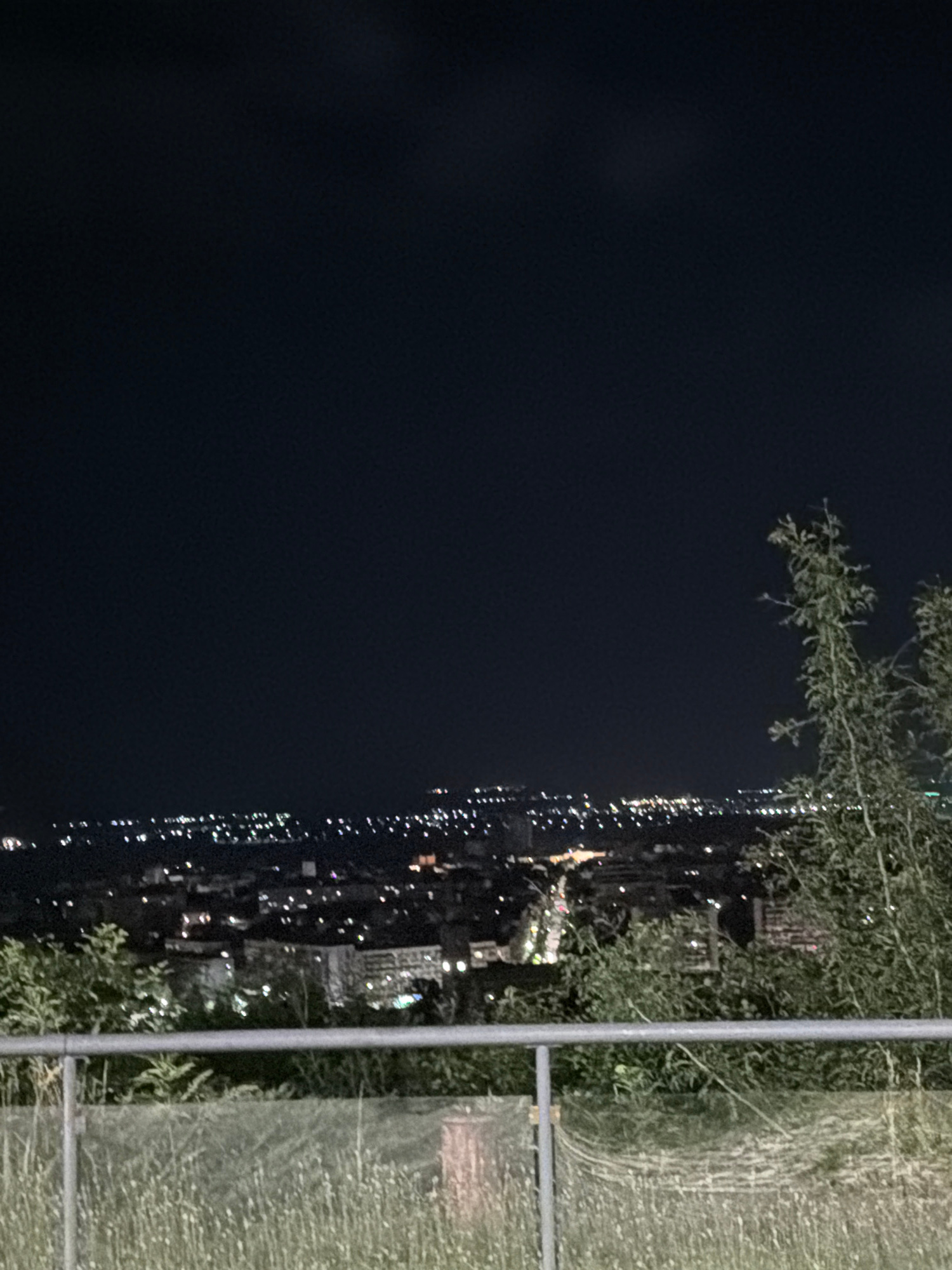 This is a nighttime image captured from an elevated position overlooking the city of Ruse, Bulgaria. The sky is dark, with a scattering of lights from the city below creating a blurry, illuminated horizon. In the foreground, there is a metal railing and tall grass or vegetation. To the right of the frame, a tree with thin branches and foliage is visible, appearing silhouetted against the dark sky and city lights. The overall scene depicts a panoramic view of the city at night.