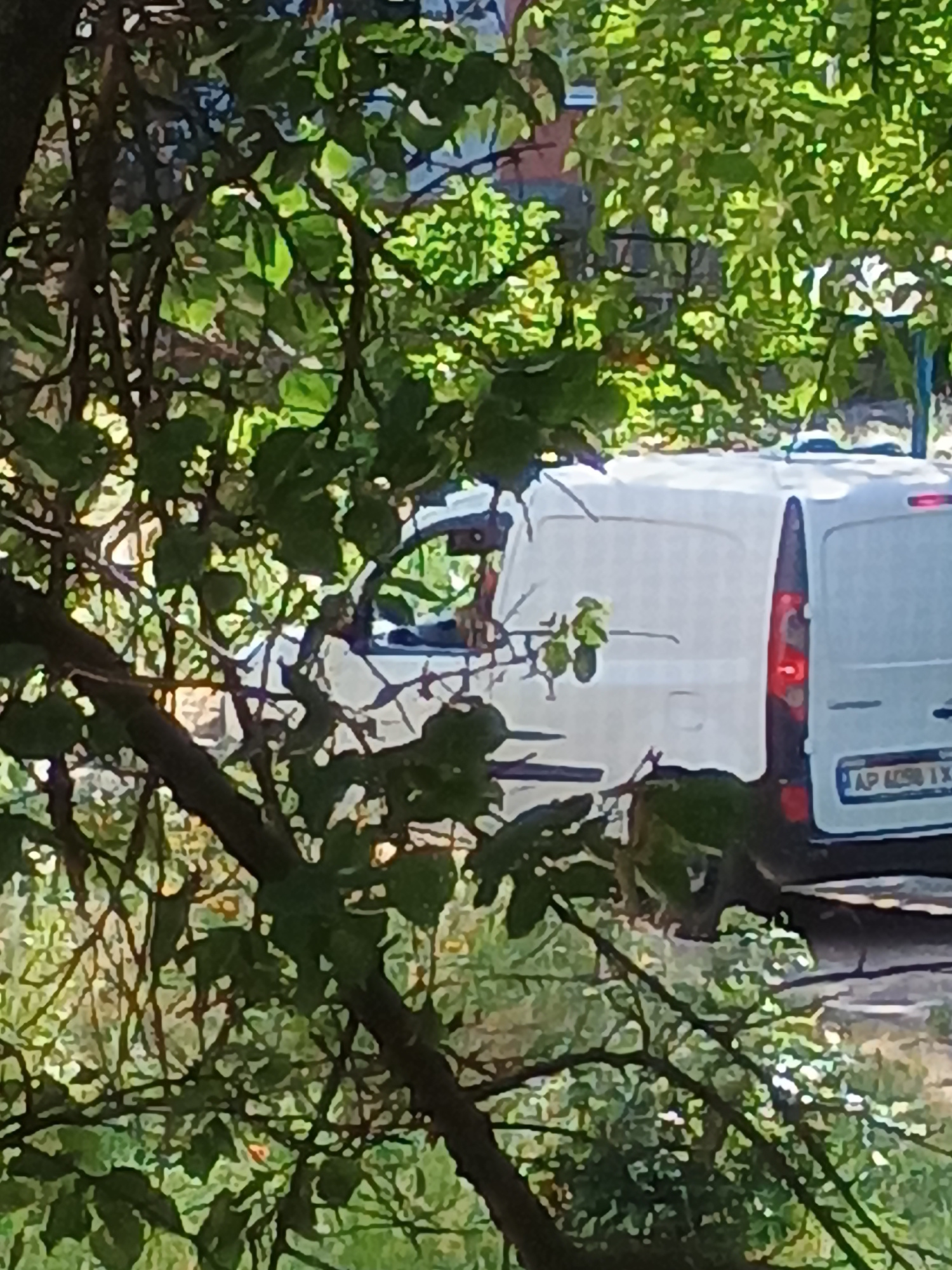 This media file captures a portion of a white van parked on a street, partially obscured by dense green foliage. The van appears to be a cargo van, with its rear visible. A license plate is partially visible, showing the characters "AP 6098 IX". The van's taillights are illuminated, suggesting it might be stopped or braking. The surrounding environment is lush with trees and leaves, creating a natural, outdoor setting. The lighting suggests it is daytime, with sunlight filtering through the leaves, casting dappled shadows. The image is oriented vertically, with the van appearing in the upper portion of the frame. The overall impression is one of a quiet, possibly residential or semi-rural street, with nature encroaching on the man-made environment. There is no visible indication of people or specific events occurring. The location context of Zaporizhzhia, Ukraine, is provided but not directly inferable from the visual elements alone.