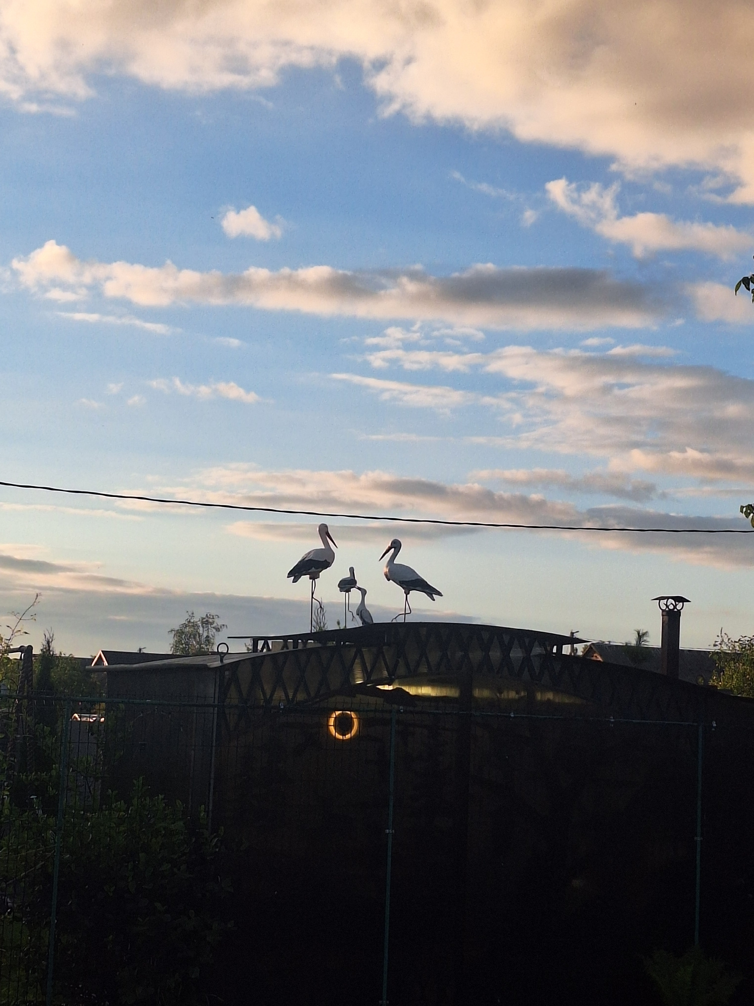 In Капыльскі сельскі Савет, Belarus, on what appears to be a rooftop or elevated structure, several decorative stork figures stand against a backdrop of a cloudy blue sky at dusk. The storks are positioned on posts and appear to be made of metal or plastic. A dark fence dominates the foreground, with dense green foliage visible on the left side of the frame. In the background, several houses with peaked roofs are visible, along with a chimney. A dark horizontal wire stretches across the upper portion of the image. The overall scene suggests a rural or suburban setting during the evening.