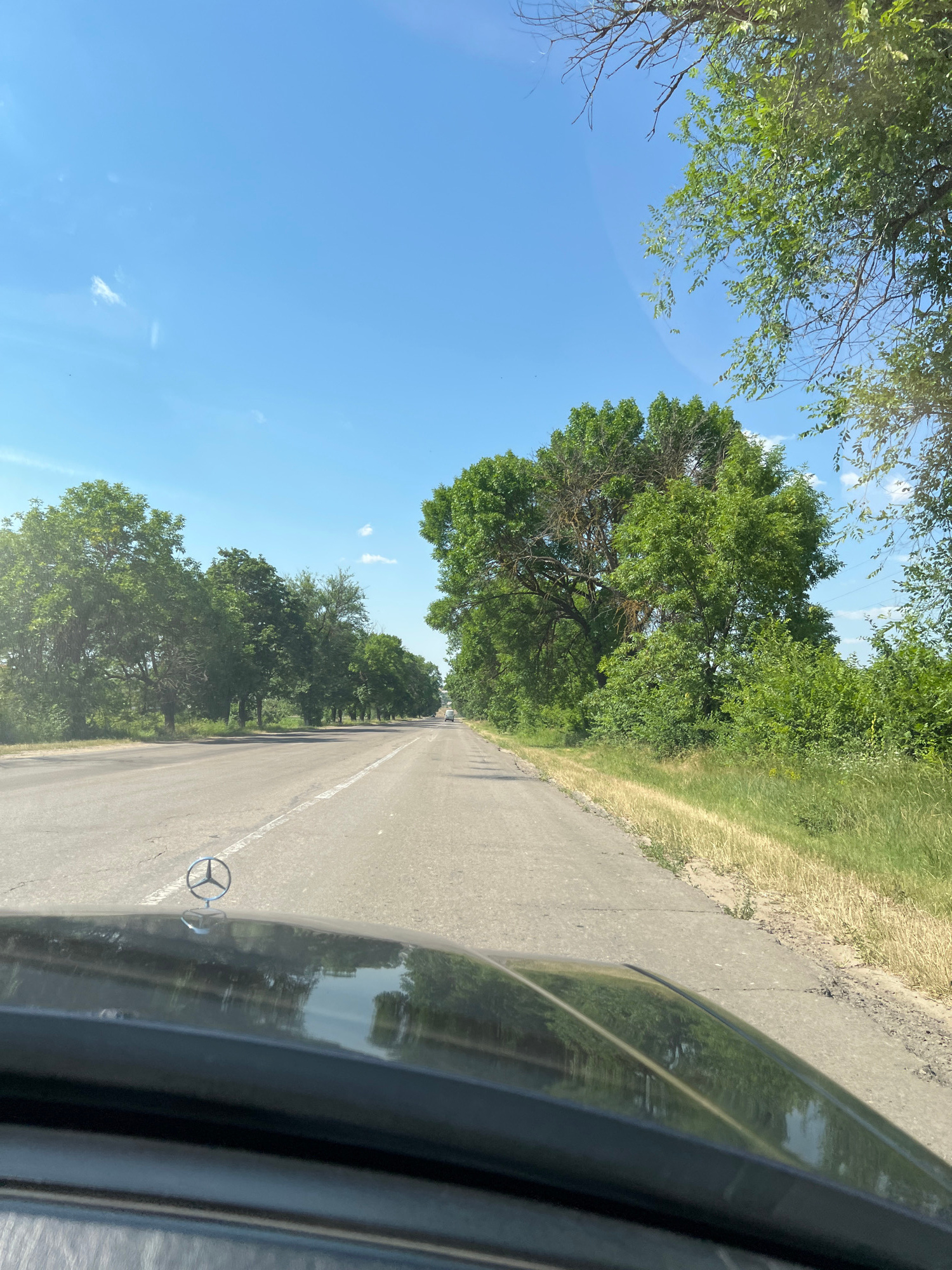 The image depicts a view from the front of a vehicle traveling on a paved road lined with lush green trees. The road has a white line marking the right edge and appears to be in fair condition with some cracks. The sky is a clear, bright blue with a few wispy white clouds. On the hood of the car, a silver Mercedes-Benz emblem is visible. The surrounding environment is rural, with dense vegetation and tall trees on both sides of the road. In the distance, a few other vehicles can be seen on the road, and what appear to be power lines are visible through the trees on the right. The overall scene suggests a sunny day on a rural road in the vicinity of Butor, Moldova.