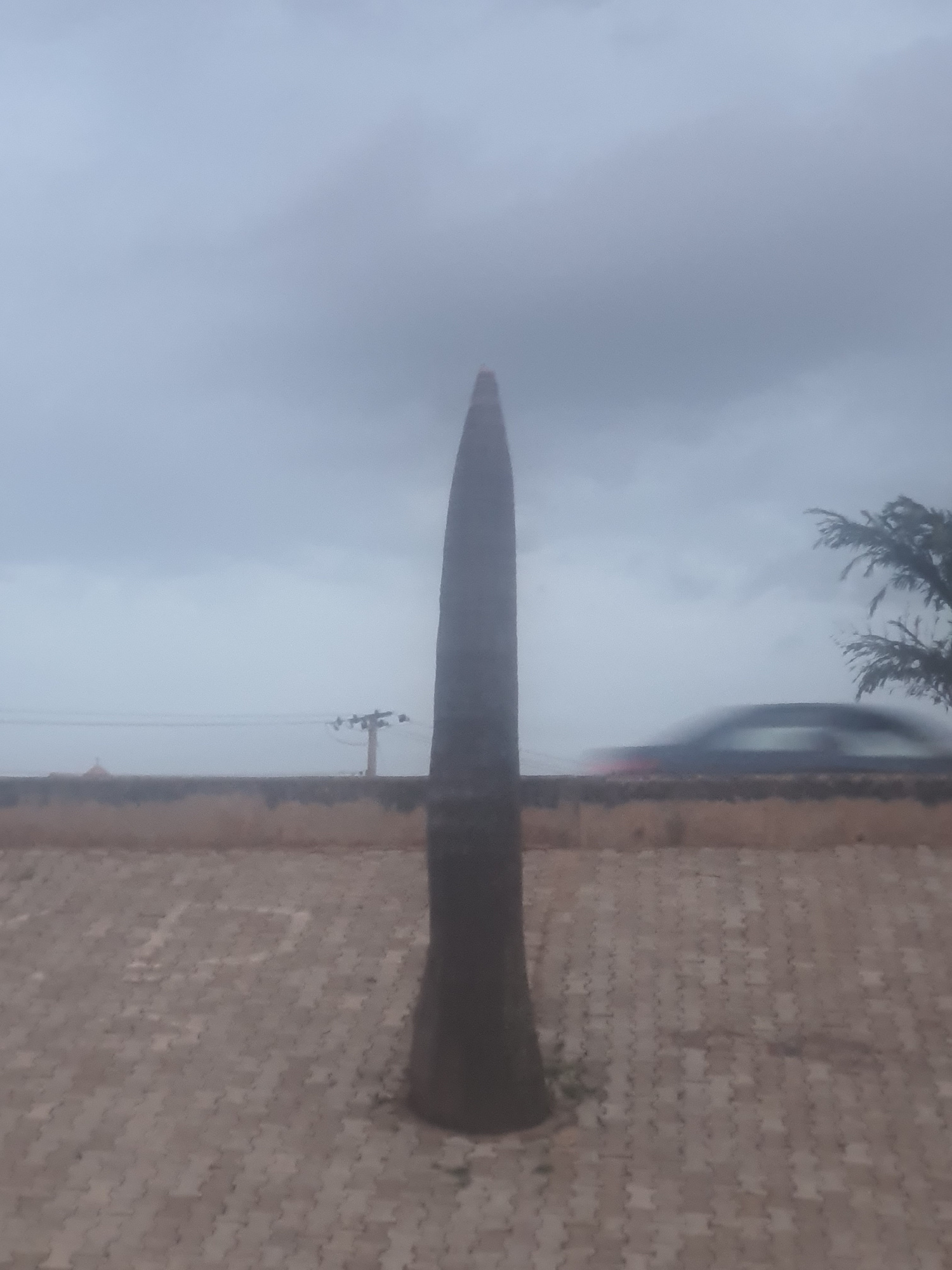 A vertical, elongated tree trunk, possibly a palm tree, dominates the foreground of the image. It stands on a paved surface of interlocking tan bricks. In the middle ground, a low, textured wall runs horizontally, separating the paved area from a distant background. Beyond the wall, a blurred, dark-colored car is visible, indicating motion, and a light pole with wires is present. The sky is overcast and grey, suggesting a cloudy or possibly rainy day. The environment appears to be an outdoor urban setting in Kabong, Nigeria, characterized by a mix of natural elements like the tree and man-made structures such as the wall, paving, and utility pole. The overall atmosphere is muted due to the overcast sky.