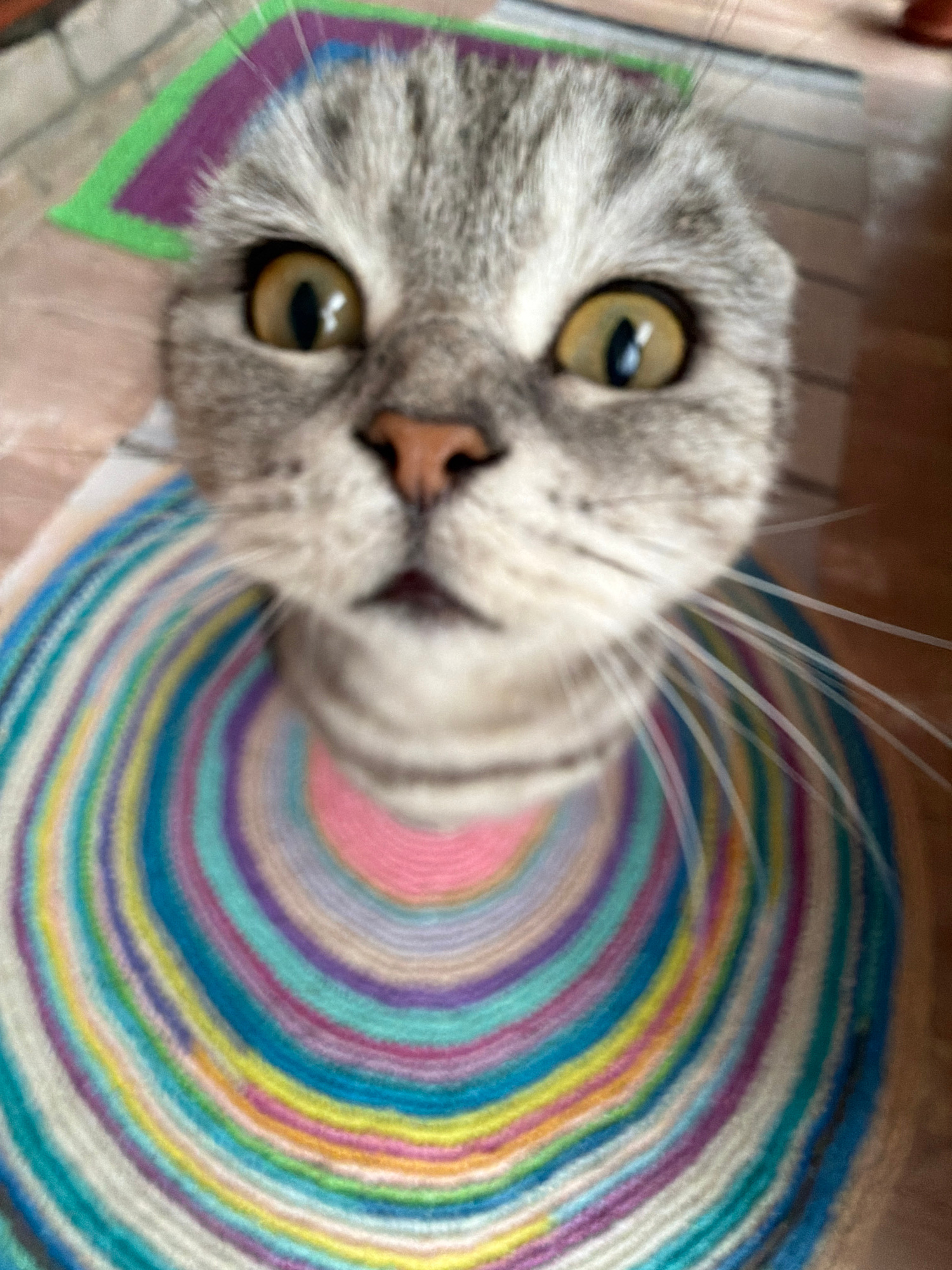 A close-up, slightly unfocused shot captures a Scottish Fold cat's face looking directly at the camera. The cat has grey tabby fur with wide, golden eyes. It is wearing a colorful, circular knitted garment around its neck, featuring concentric rings of various pastel colors like pink, purple, teal, yellow, and white. A corner of a green and purple mat is visible in the upper left of the frame. The background is blurred, showing hints of a textured surface that might be flooring. The scene is indoors, with the lighting suggesting an overhead source.