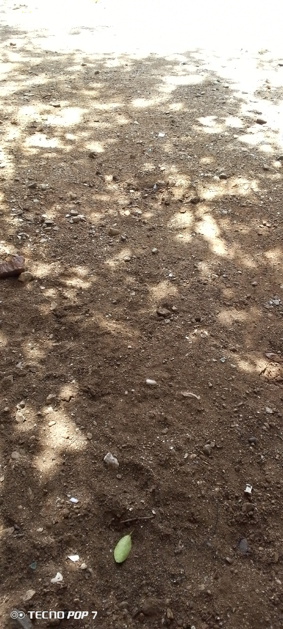 The image shows a close-up view of a patch of dry, dusty ground covered in small stones and pebbles. Dappled sunlight filters through overhead foliage, creating patterns of light and shadow on the earth. There is a single, small green leaf lying on the ground in the lower-middle section of the image. The foreground of the image features the text "TECNO POP 7" in white, indicating the device used to capture the photograph. The scene appears to be an outdoor environment, possibly a path or unpaved area. No people, animals, or specific urban features are visible that would definitively place it in Altagracia, Venezuela.