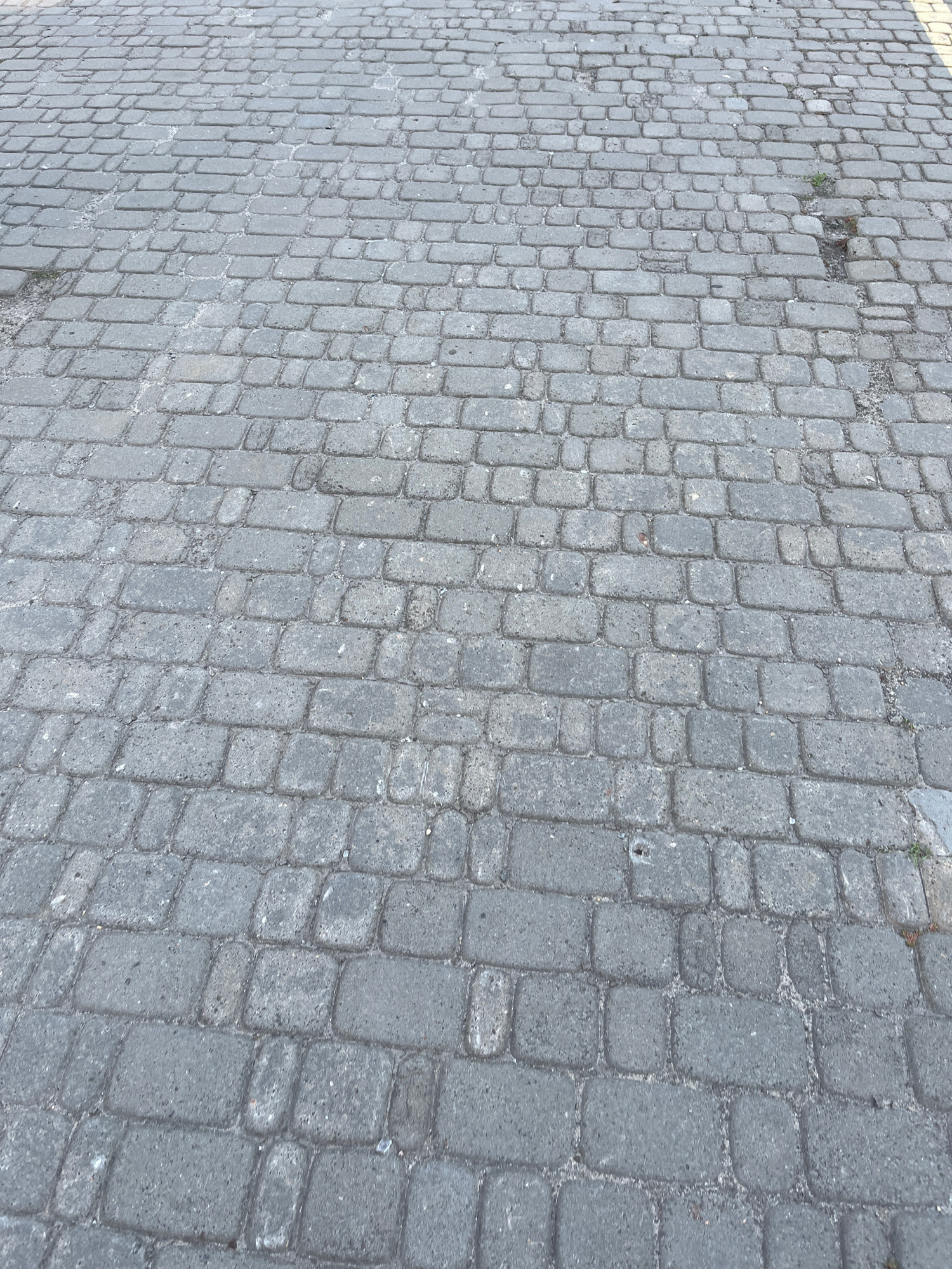 The image shows a gray cobblestone pavement. The cobblestones are rectangular and rectangular blocks with rounded edges, laid in a somewhat irregular pattern. Some areas of the pavement show signs of wear, with cracks and missing stones. There are small patches of green vegetation growing in some of the gaps between the stones. The lighting suggests it is daytime, possibly overcast, as there are no strong shadows. The perspective is from a slightly elevated viewpoint looking down and across the pavement. The scene depicts a typical urban street surface in Kyiv, Ukraine, or any city with similar paving.