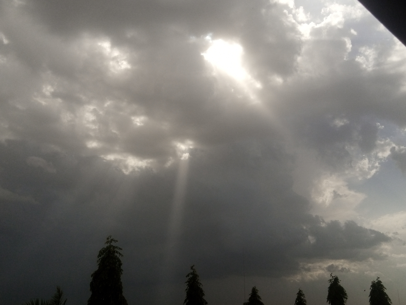 The image captures a dramatic sky filled with dark, heavy clouds, suggesting impending or ongoing stormy weather. Sunlight pierces through the clouds in distinct beams, creating a striking contrast and illuminating the atmosphere. The overall mood is somber, with a sense of awe inspired by the power of nature.
In the foreground, several trees are silhouetted against the dramatic sky. Their dark forms stand out against the lighter clouds and the faint illumination from the sun. The trees appear to be of medium height, with dense foliage. Their presence suggests an outdoor setting, possibly a landscape or rural area.
The time of day is difficult to pinpoint precisely due to the cloud cover, but the quality of light filtering through the clouds could indicate late afternoon or early evening, when the sun is lower in the sky and its rays are more prone to being scattered by atmospheric conditions. The weather is clearly overcast and possibly raining or about to rain, given the dark clouds.
There are no visible people or specific objects that provide definitive clues about the location, other than the presence of trees. The focus of the image is entirely on the atmospheric display and the natural elements. The composition emphasizes the vastness of the sky and the dynamic interplay of light and shadow. The overall emotion evoked is one of contemplation and respect for the raw beauty of natural phenomena.