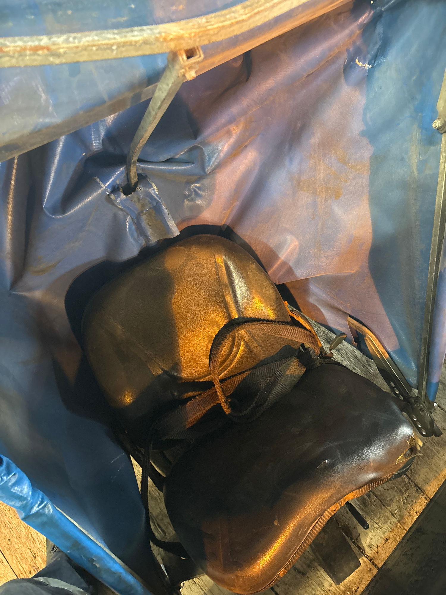 A close-up, overhead view shows two dark brown leather saddles resting inside a blue tarp. The saddles appear weathered and are positioned at an angle within the tarp, which is draped over a wooden surface. One saddle is larger and more prominently in the foreground, with its seat and horn clearly visible. A strap or girth is visible connecting the two saddles. The tarp has some wrinkles and creases, and there are areas of light reflection, indicating it is likely daytime or illuminated by artificial light. The overall setting appears to be outdoors or in a rustic storage area, given the wooden planks beneath the tarp. The focus is on the saddles and the blue tarp, with no people or other objects clearly discernible. The image composition suggests a practical or utilitarian scene, possibly related to equestrian activities or storage.