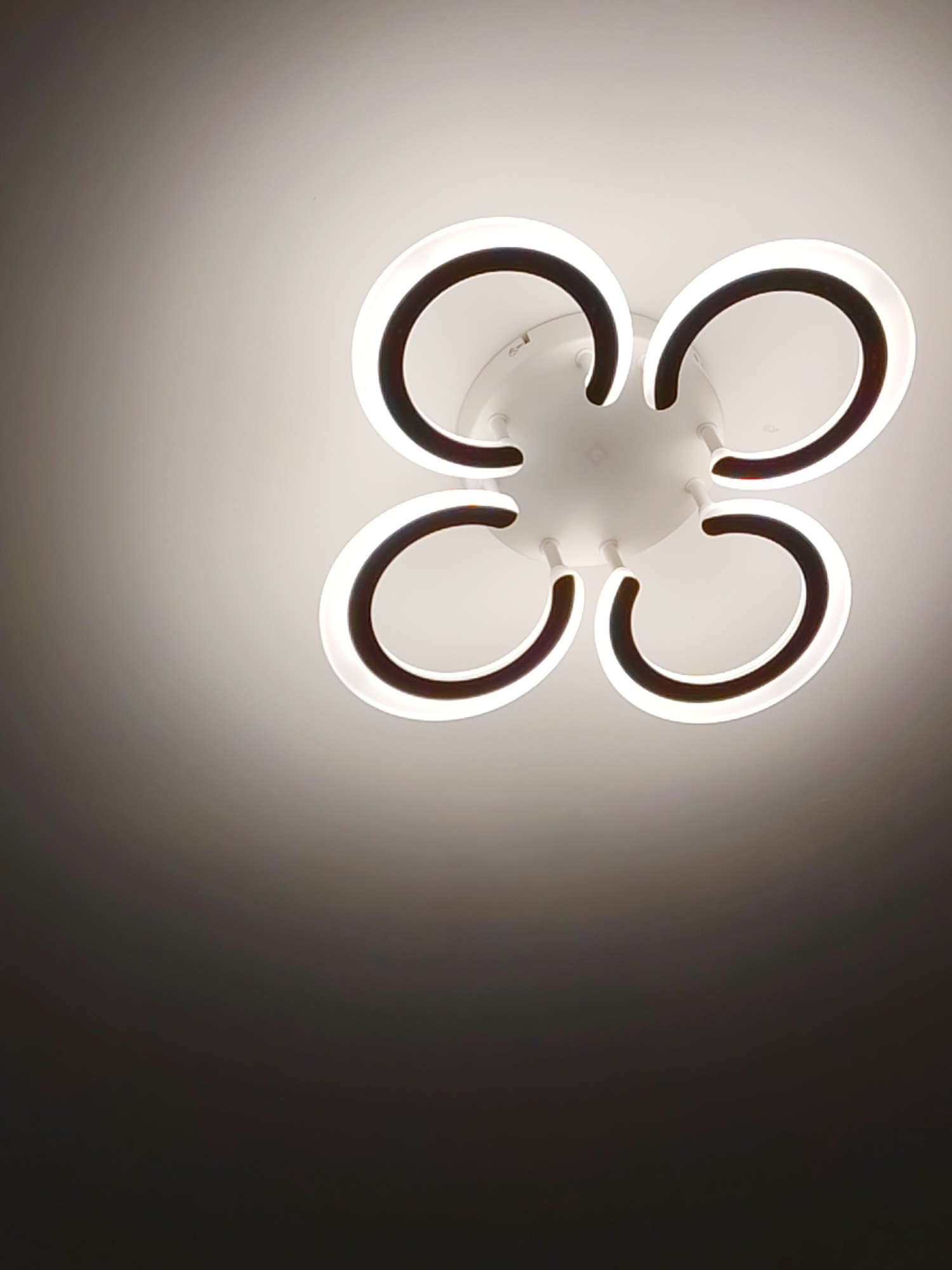 A modern, white ceiling light fixture with four petal-shaped rings, each outlined in a dark color and illuminated with a soft white light, is centered against a plain white ceiling. The lower portion of the image shows a gradient of shadow, transitioning from light gray to dark gray. No people are present, and there is no indication of the location within Yekaterinburg, Russia.