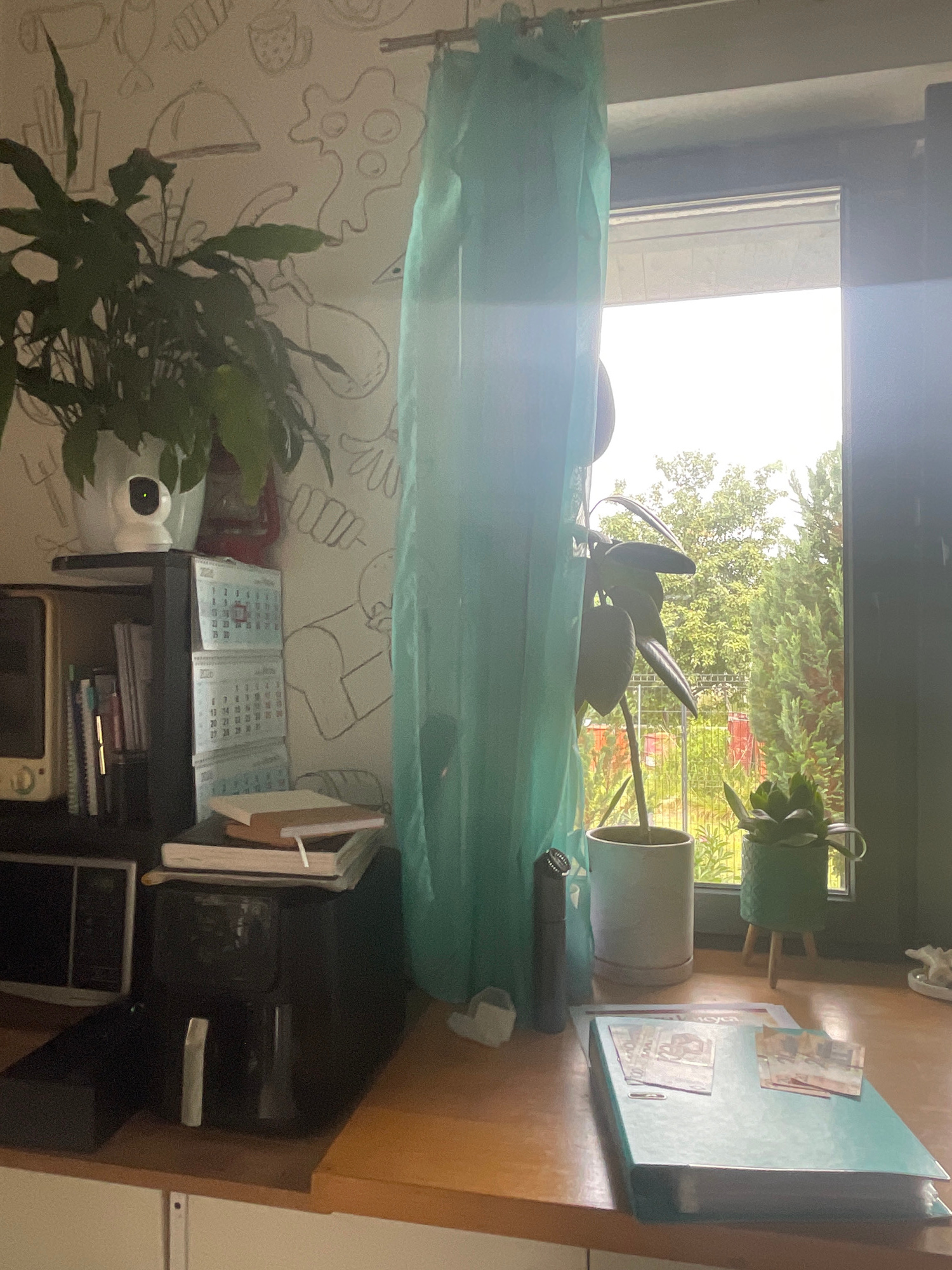 The image depicts an indoor scene, likely a kitchen counter, with a window overlooking greenery. On the counter, a large black appliance, possibly an air fryer, sits next to a stack of notebooks. To the left, a shelf holds a microwave and several books. A large plant in a white pot is positioned above the shelf. A teal curtain hangs by the window, partially obscuring a second, taller plant in a white pot. Two smaller potted plants are also visible near the window, one in a green textured pot with wooden legs. The wall behind the plants features a playful, hand-drawn pattern of food items. On the counter in the foreground, a light blue binder lies open with several banknotes placed on it. The overall impression is one of a domestic setting, possibly in Мухавецкі сельскі Савет, Belarus, given the context.