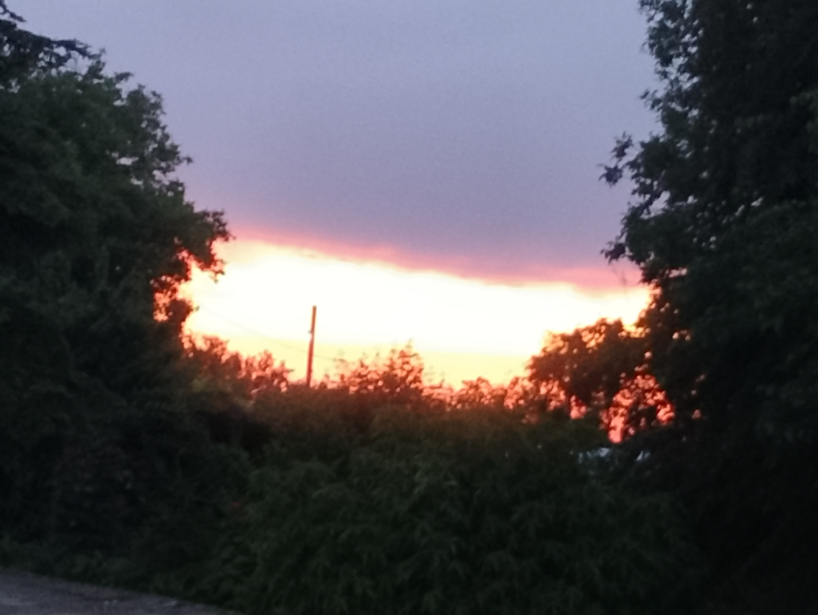 A landscape photograph captures a dusky sky with hues of purple and pink. A vibrant band of bright white and orange light stretches horizontally across the middle of the frame, suggesting the sun has recently set or is about to rise. Silhouetted against this luminous backdrop are the dark shapes of trees and foliage on either side of the image, framing the sky. In the center, a tall, thin vertical pole is visible, and beyond that, more trees and vegetation are dimly lit by the ambient light. The foreground appears to be a dark, unpaved surface, possibly a road or path.