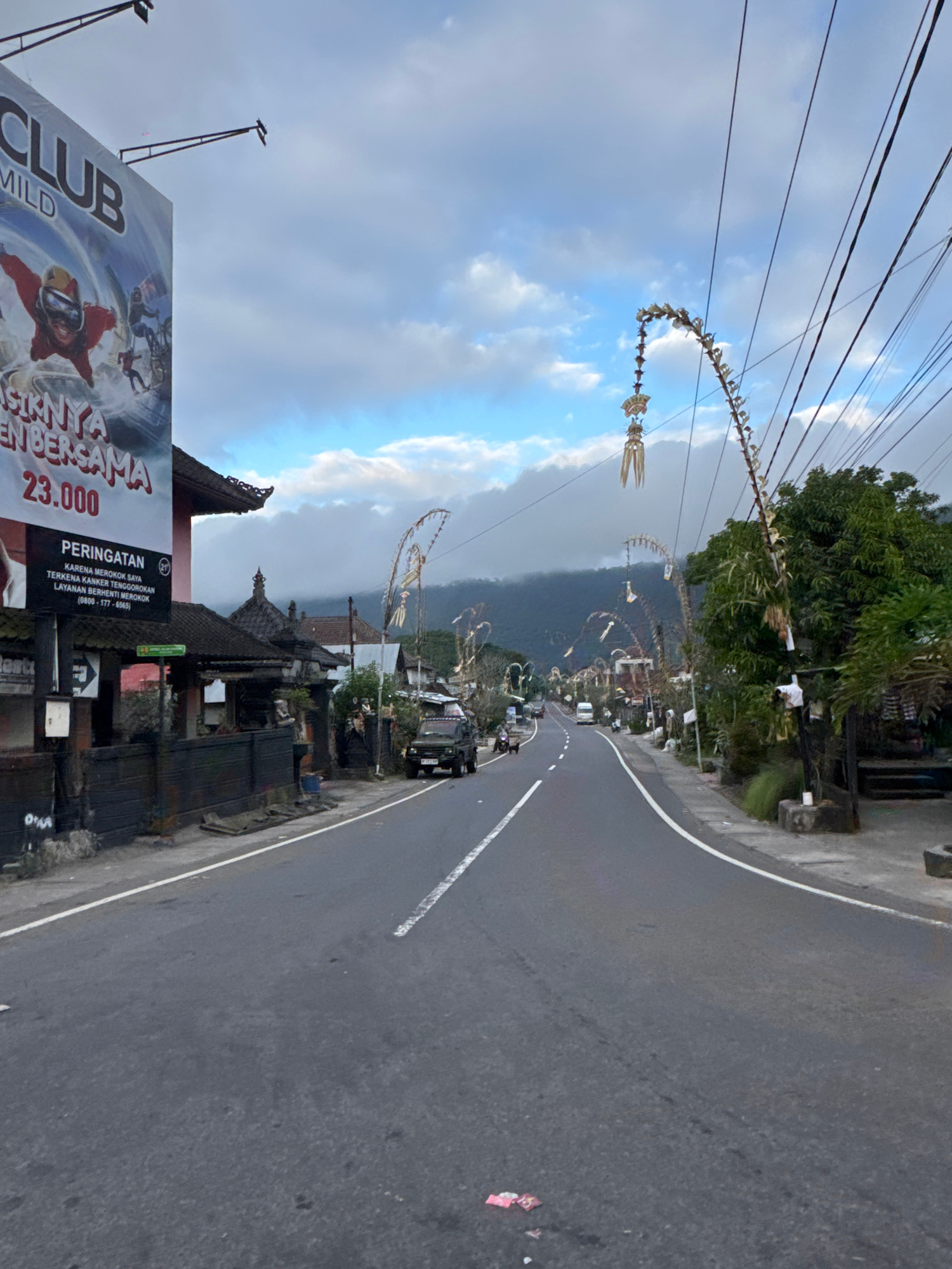 This vertical-format image captures a roadside scene in Kintamani, Indonesia. The foreground features a large billboard advertising "CLUB MILD" with a skydiver graphic and text, "SINYA EN BERSAMA 23.000." To the right of the billboard is a warning sign in Indonesian: "PERINGATAN KARENA MEROKOK SAYA TERKENA KANKER TENGGOROKAN LAYANAN BERHENTI MEROKOK (0800-177-6565)."
Beyond the billboard, a road curves to the right, bordered by traditional Balinese-style buildings with dark roofs and intricate architectural details. Overhead, numerous power lines crisscross the frame. Along these lines, decorative Balinese "penjor" (long bamboo poles decorated with offerings) are strung, creating a festive or ceremonial atmosphere. Some of these penjor are elaborate and curved, featuring woven elements and hanging ornaments.
In the background, a lush green hillside rises, partially obscured by a hazy, overcast sky. The overall impression is of a rural or semi-rural setting, possibly during a local celebration or festival, given the presence of the penjor. The time of day appears to be late afternoon or early evening, with diffused light and a somewhat subdued ambiance. A few vehicles, including what looks like a black SUV, are visible on the road. The weather seems overcast, contributing to the muted lighting.