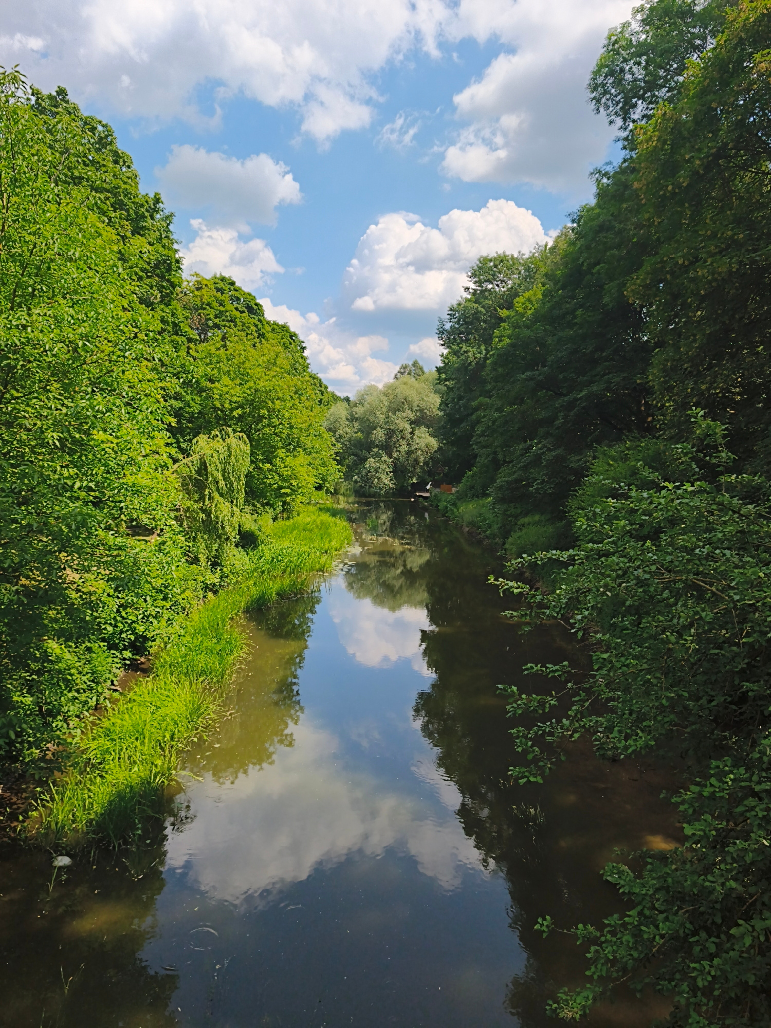 A wide-angle, vertical shot captures a tranquil river flowing through a lush, green forest. The water's surface reflects the sky and surrounding foliage, creating a mirror-like effect. On both sides of the river, dense trees and vegetation create a natural canopy, with sunlight filtering through the leaves, dappling the scene. The sky above is a vibrant blue, dotted with fluffy white clouds. The overall impression is one of serenity and natural beauty, suggesting a peaceful, unpopulated area. The time of day appears to be late morning or early afternoon, given the bright sunlight. The setting evokes a sense of a secluded natural landscape, possibly a park or nature reserve, in Ternopil, Ukraine. No people, objects, text, or specific activities are visible.