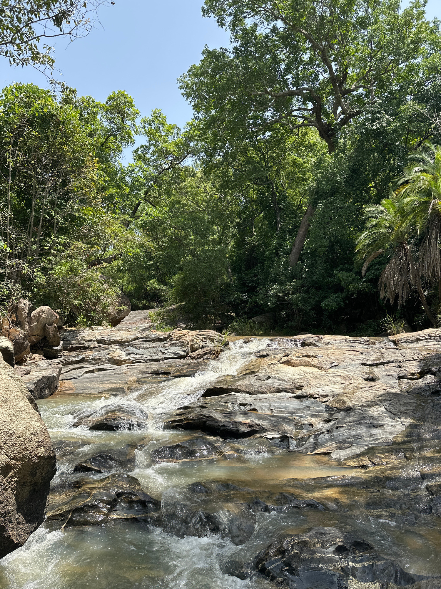A vertical, medium shot captures a rocky stream cascading through a dense forest with a clear sky above. The stream flows over layered, light brown and dark grey rocks, with white foam indicating movement. Lush green trees, varying in size and density, surround the water, with some larger trees forming a canopy overhead. A tall palm tree with dry fronds is visible on the right. The scene appears to be a natural outdoor environment, likely a forest or park. The location is identified as Fobur, Nigeria.