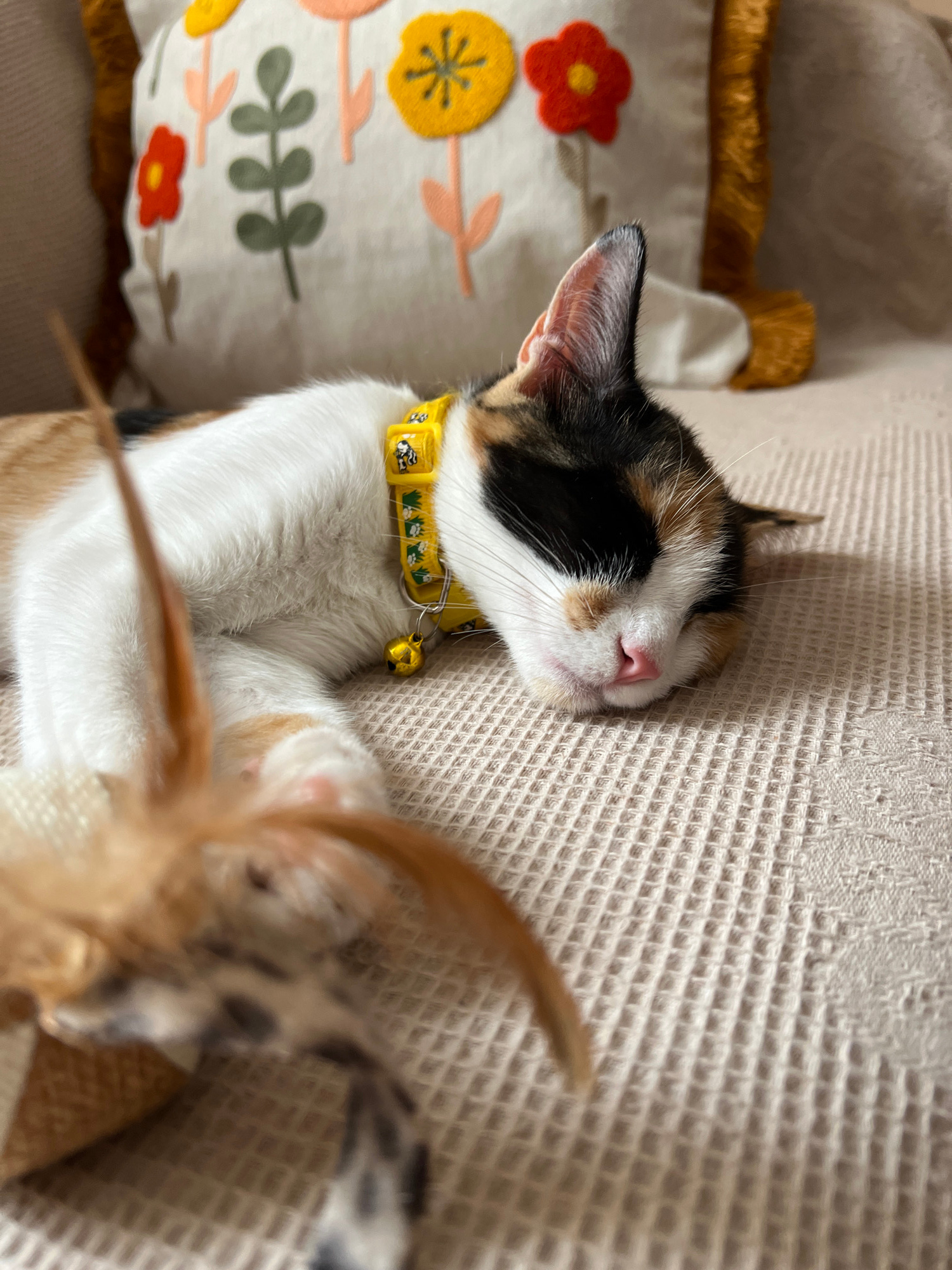 A calico cat is sleeping peacefully on a textured, light-colored surface, likely a sofa or bed. The cat is wearing a bright yellow collar with a small golden bell attached. In the foreground, out of focus, is a cat toy with feathers. Behind the cat, a pillow with a floral pattern, featuring embroidered flowers in red, orange, and yellow, is visible. The overall scene is indoors, suggesting a domestic setting. This image was captured in Ümraniye, Turkey.