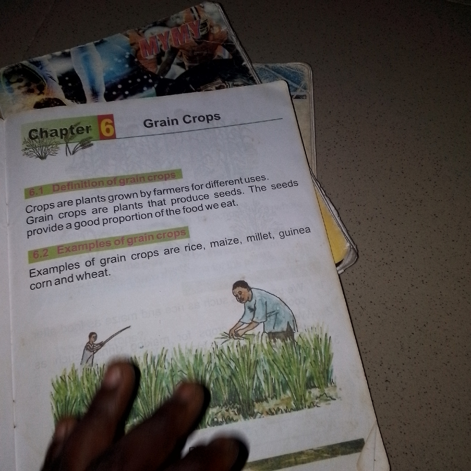 The image shows an open book with the heading "Chapter 6 Grain Crops." Below this, section 6.1 is titled "Definition of grain crops" and reads, "Crops are plants grown by farmers for different uses. Grain crops are plants that produce seeds. The seeds provide a good proportion of the food we eat." Section 6.2 is titled "Examples of grain crops" and states, "Examples of grain crops are rice, maize, millet, guinea corn and wheat." The text is accompanied by an illustration of a farmer harvesting crops in a field. The book is placed on a surface that appears to be a floor or table, with the background suggesting an indoor setting, possibly a room in Jauro Yinu, Nigeria, given the context. The lighting is dim, with the book being the primary illuminated subject.