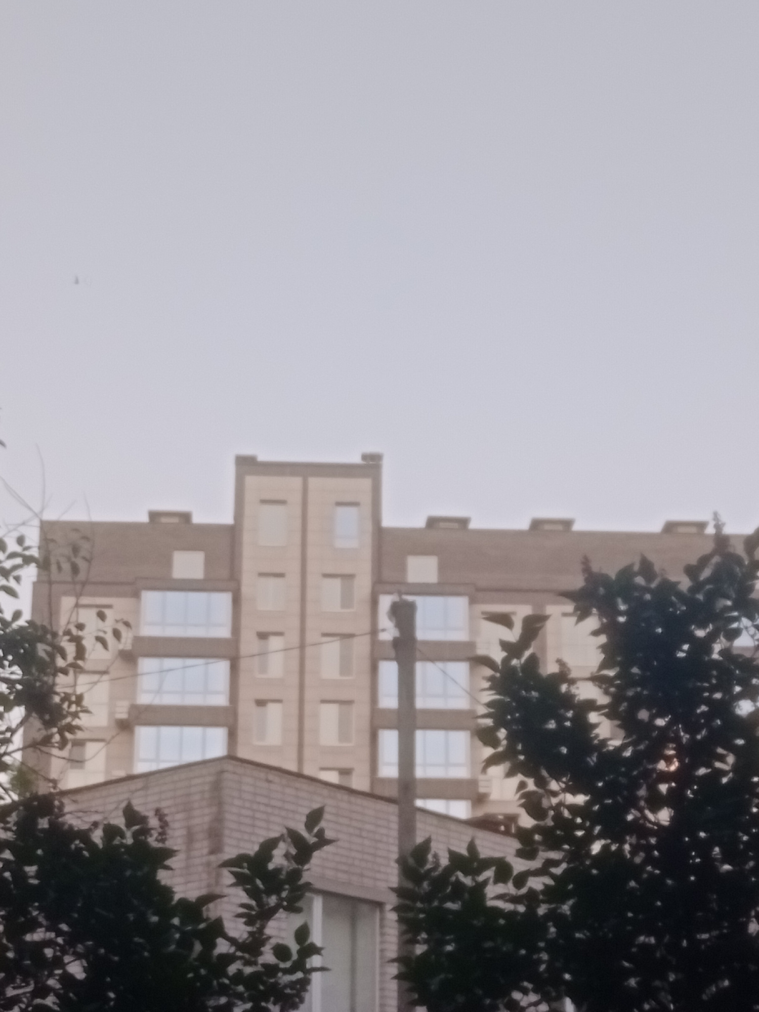 The image shows a multi-story building with a light-colored facade and numerous windows. The building appears to be modern construction. In the foreground, there are trees with dark green leaves, partially obscuring the view of the building. A brick structure is visible below the larger building. The sky is overcast and light gray, suggesting a cloudy day. A utility pole stands near the trees. The scene is likely a residential area in Horishni Plavni, Ukraine, given the architectural style of the building. No people are visible in the image.