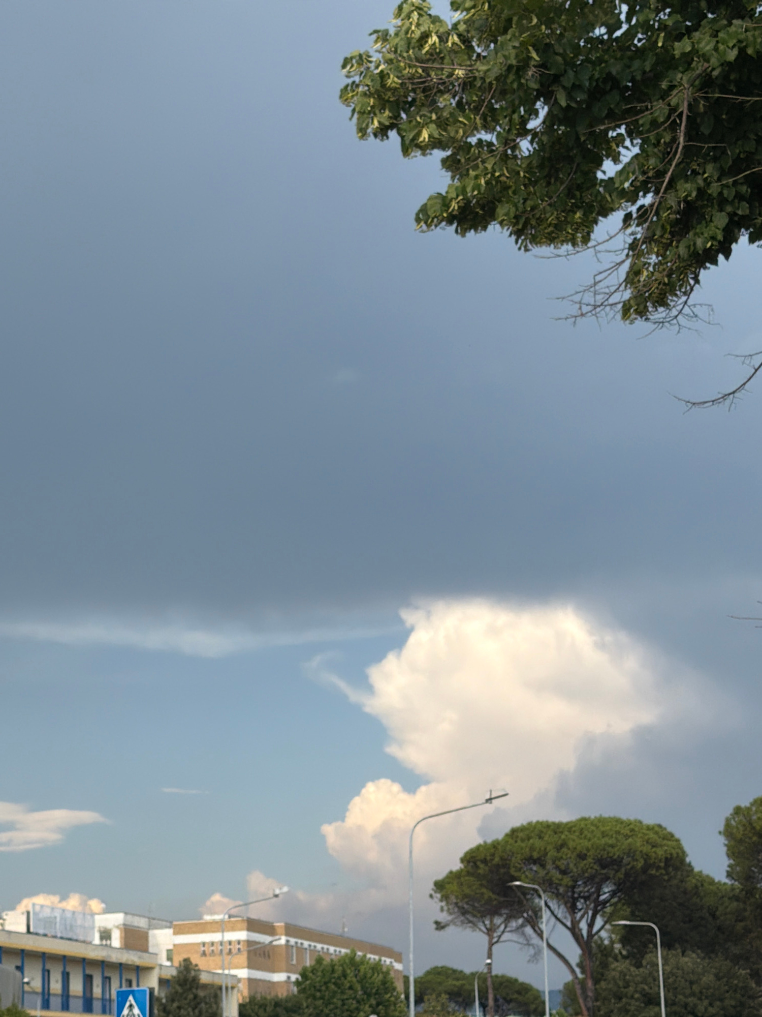 The image shows a view looking upwards towards a sky with dramatic cloud formations and trees in the foreground. The sky is a mix of clear blue and heavy grey clouds, suggesting a change in weather. On the left side of the frame, lush green foliage from a tree hangs down, with bare branches also visible. On the right side, a street light pole with a curved arm extends upwards. Further to the right, the tops of buildings are visible, characterized by cream-colored facades with brown trim and rows of windows. These buildings appear to be of modern construction. Some trees with dense green canopies are also present on this side, framing the buildings. A blue traffic sign with white symbols is partially visible at the bottom right. The lighting suggests it is daytime, possibly late afternoon or early evening, given the contrast between the bright clouds and the shadowed areas. The overall scene evokes a sense of natural beauty contrasted with urban elements. No people are visible. The location is Albuccione, Italy.