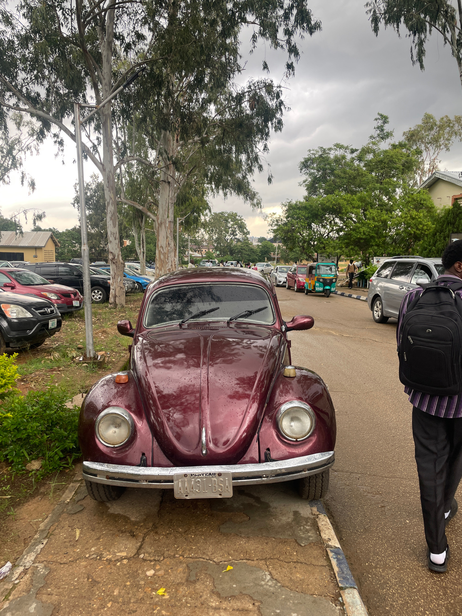 The image shows a parked, maroon Volkswagen Beetle in an outdoor setting, likely a street or parking lot, given the presence of other vehicles and trees. A person, viewed from behind, is walking towards the left of the frame, wearing black pants and a striped shirt, with a black backpack. The Beetle is positioned on the left side of the road, facing forward. Its chrome bumper and headlights are visible, as is a license plate that reads "MA431-BSA". In the background, other cars are parked, including SUVs and what appear to be auto-rickshaws, suggesting a bustling environment. Tall trees with light-colored bark and dense green foliage line the background. The sky is overcast and appears to be a dull gray, indicating a cloudy or possibly rainy day. The ground is wet, further suggesting recent rain. The overall mood is subdued, consistent with the overcast weather. The location context of Jos, Nigeria, aligns with the presence of auto-rickshaws and the type of vegetation seen. There is no discernible time of day indicated, but the lighting suggests daytime.
