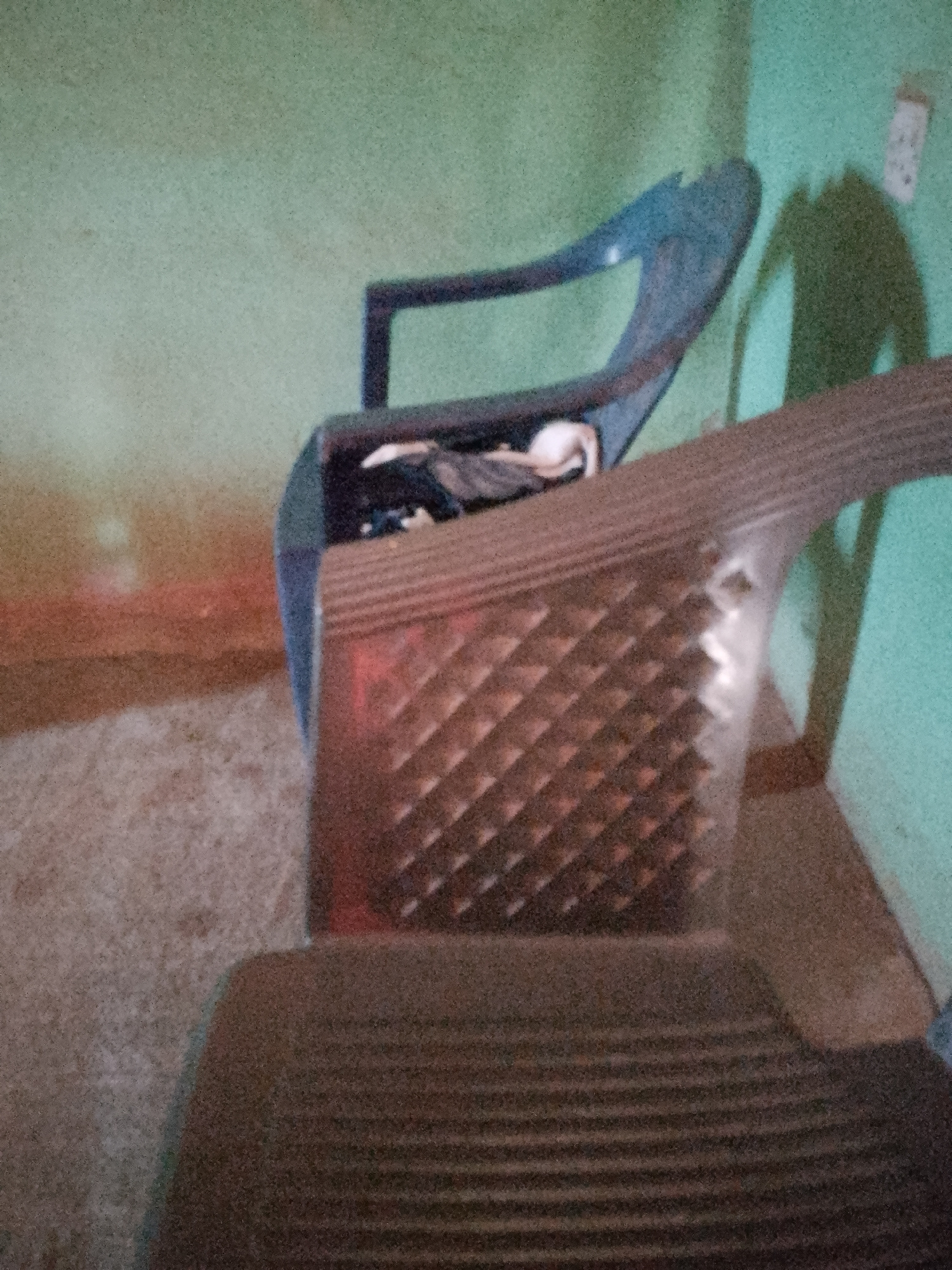 The image shows two plastic chairs, one dark blue and one brown, in what appears to be a dimly lit room with green walls. The blue chair is in the background and has its back and armrests visible. The brown chair is in the foreground and is closer to the viewer. It has a textured seat and backrest. A shadow of a person is cast on the wall behind the blue chair, suggesting that someone was standing there at the time the photo was taken. There is a light-colored object on the seat of the blue chair, which could be fabric or clothing. The floor is covered with a carpet or rug with a speckled pattern. The overall impression is of an indoor scene, possibly a home or a waiting area.