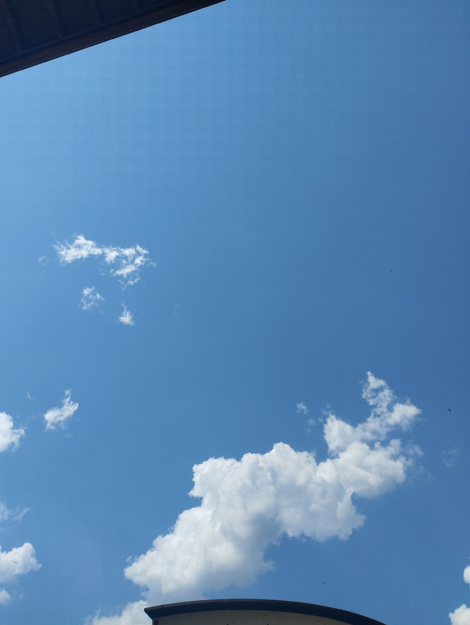 A wide-angle, low-angle shot captures a bright blue sky with scattered white clouds. The top edge of the image is partially obscured by a dark, curved overhang, possibly a building's roof or awning. Several small dark specks, likely birds in flight, are visible against the sky. The lower portion of the image shows the top of a curved building structure with a dark edge. The scene appears to be an outdoor urban environment on a sunny day.