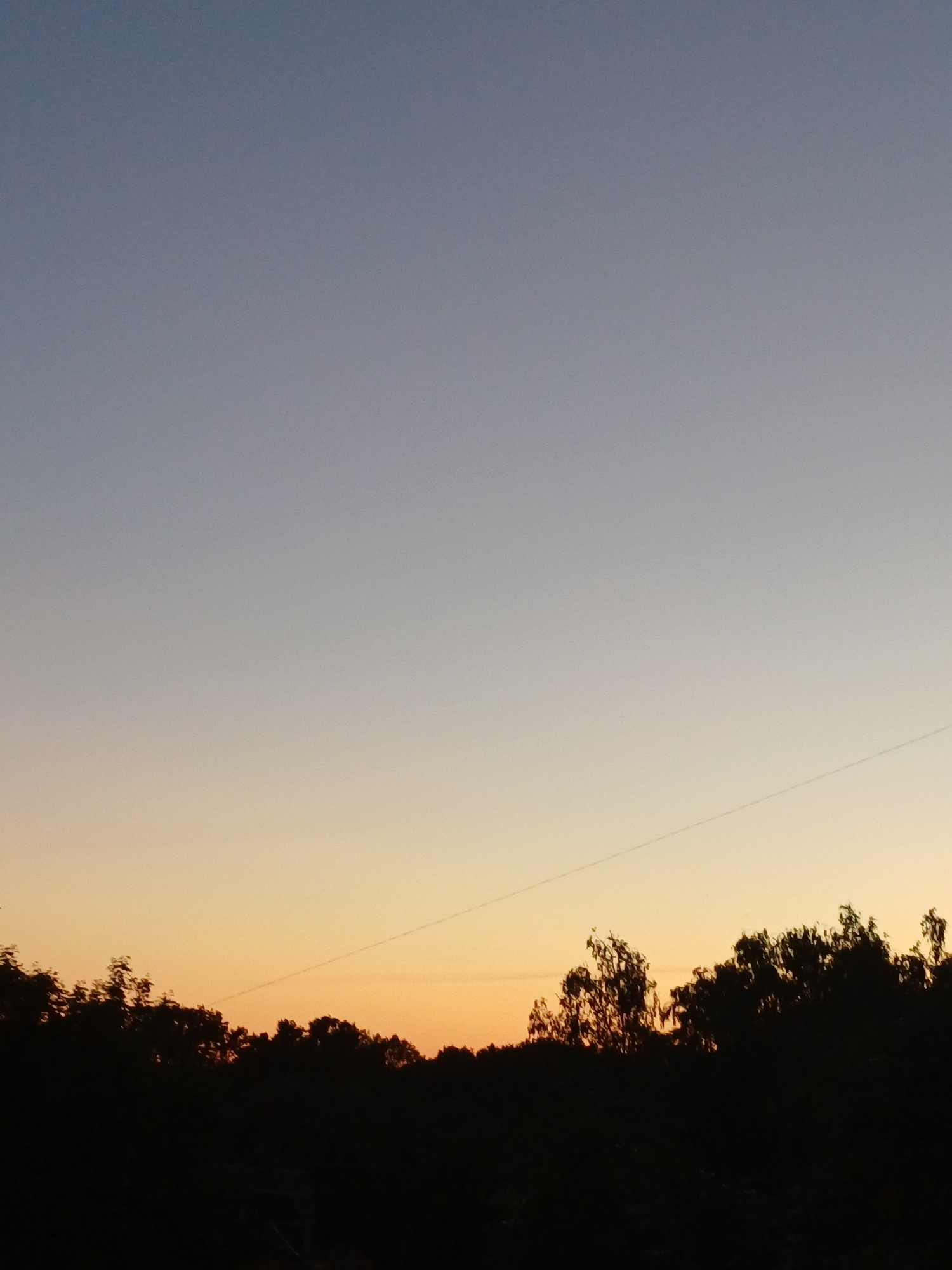 The image captures a silhouetted treeline against a gradient sky, transitioning from a deep blue at the top to a soft orange near the horizon. A thin, diagonal line, possibly a contrail or power line, is visible in the upper portion of the orange sky. The treeline is dense and irregular, with individual tree shapes discernible in silhouette. The overall impression is that of a twilight or sunset scene. There are no people or discernible man-made structures clearly visible within the frame, though a hint of what might be a fence or structure is present in the lower left corner. The image appears to be an outdoor landscape photograph taken in Riga, Latvia, at dusk.