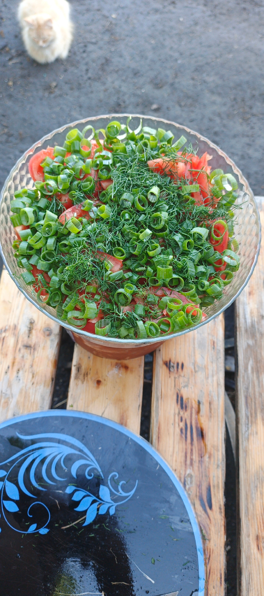 A light-colored cat sits on a dark, rough surface, looking away from the camera. In the foreground, a glass bowl filled with chopped tomatoes, green onions, and dill is placed on weathered wooden planks. A dark, round object with a blue, floral pattern rests in front of the bowl. The scene appears to be outdoors, with a natural, unpaved ground surface visible behind the cat. The lighting suggests it is daytime. The location is identified as Petukhovo, Russia.