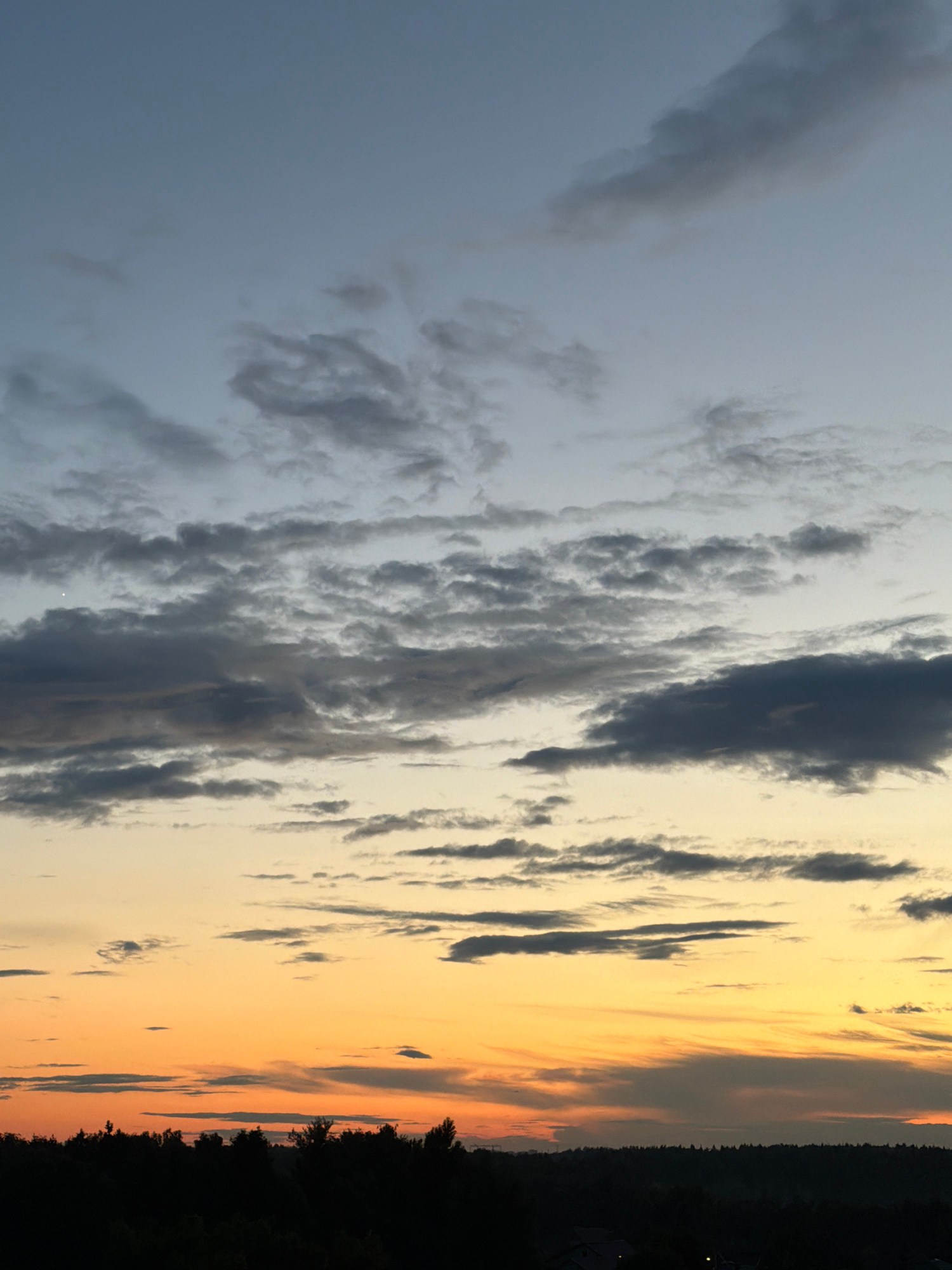 This image captures a silhouetted treeline against a sky transitioning from a deep orange glow at the horizon to a pale blue at the top. Wispy clouds, varying in shades of gray and white, are scattered throughout the sky. The lower portion of the image is dominated by a dark, dense forest, with hints of a few distant structures visible through the trees. The overall impression is one of a twilight or sunset scene.