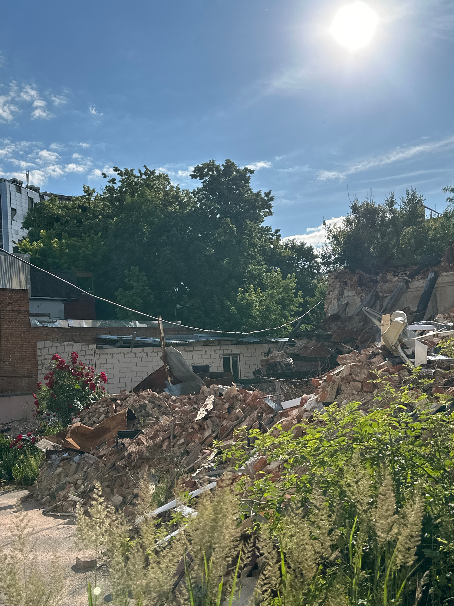 The image shows a pile of rubble from a destroyed building, with trees and vegetation growing around it. The sky is blue with some white clouds, and the sun is shining brightly. The debris consists of bricks, wood, and other building materials. Some red roses are visible in the lower right corner of the image, growing amidst the destruction. The scene appears to be a former urban or suburban area that has been damaged. The time of day is likely daytime, given the bright sunlight. There is no text visible in the image. The overall impression is one of ruin and decay, but also of nature reclaiming the space.