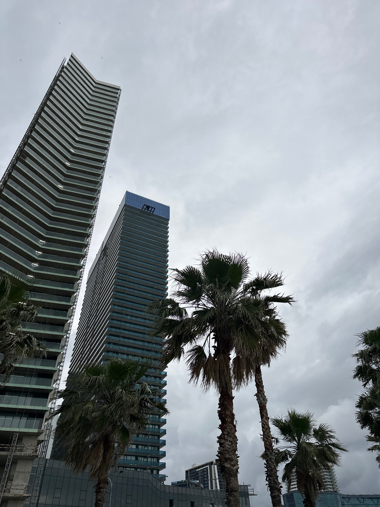 The image shows a view looking upwards at two modern, angular skyscrapers on a cloudy day. Palm trees are scattered throughout the scene, some in the foreground obscuring parts of the buildings, and others in the background. The sky is overcast with gray clouds. The buildings have a sleek, contemporary design with many reflective surfaces. The left building is wider and has a striped facade. The right building is taller and appears to be made of glass and metal. The scene suggests an urban environment, possibly a coastal city due to the presence of palm trees. The time of day is likely daytime, but the cloudy weather creates a muted light. There is no visible text in the image.