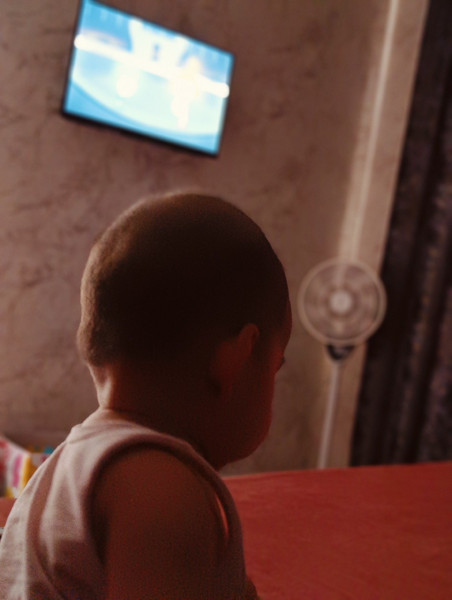 The image depicts a young child from behind, seated and facing away from the camera towards a television screen. The child is wearing a light-colored t-shirt. The television is mounted on a wall that appears to have textured wallpaper. A small, circular fan is visible in the background to the right of the child, with its blades blurred, indicating it is likely in motion. The room appears to be dimly lit, with the television screen being a primary source of light in the foreground. The overall atmosphere is one of domesticity and quiet observation. The location of Ramenskoi Agrokhimstantsii (Raos), Russia is not evident from the visual information provided in the image.