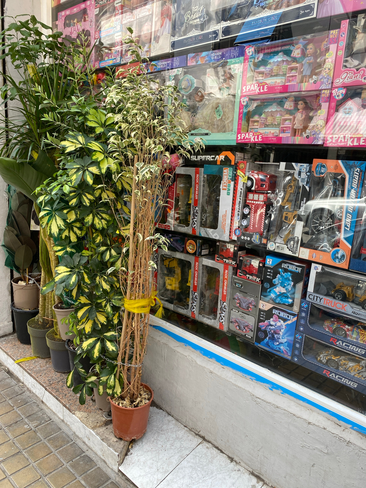 This media file shows a storefront display, likely in Valencia, Spain, featuring a variety of toy vehicles and dolls. The display is set up behind a window, with some of the toys packaged in colorful boxes. Visible text includes brand names like "SPARKLE," "SUPERCAR," "ROCK CRAWLER," and "ROBOT," as well as phrases like "FUN PLAY HOUSE," "FIREFIGHTER," and "OFF-ROAD VEHICLE." The toys appear to be aimed at children, with "3+ Ages" labels visible on some of the doll packaging.
In the foreground, a collection of potted plants is arranged in front of the storefront, partially obscuring the view of the toys. One plant, with variegated green and yellow leaves, is particularly prominent, its branches reaching upwards and tied with a yellow string. The plants are in various pots, some of which are visible on the ground and on shelves. The ground outside the store is paved with tiles, suggesting an urban setting.
The lighting indicates it is daytime, and the presence of the plants and the general arrangement suggest a retail environment. There are no people or specific activities clearly depicted in the image, beyond the presentation of merchandise in a shop window. The overall impression is one of a toy store or a section of a larger store selling toys and possibly plants.