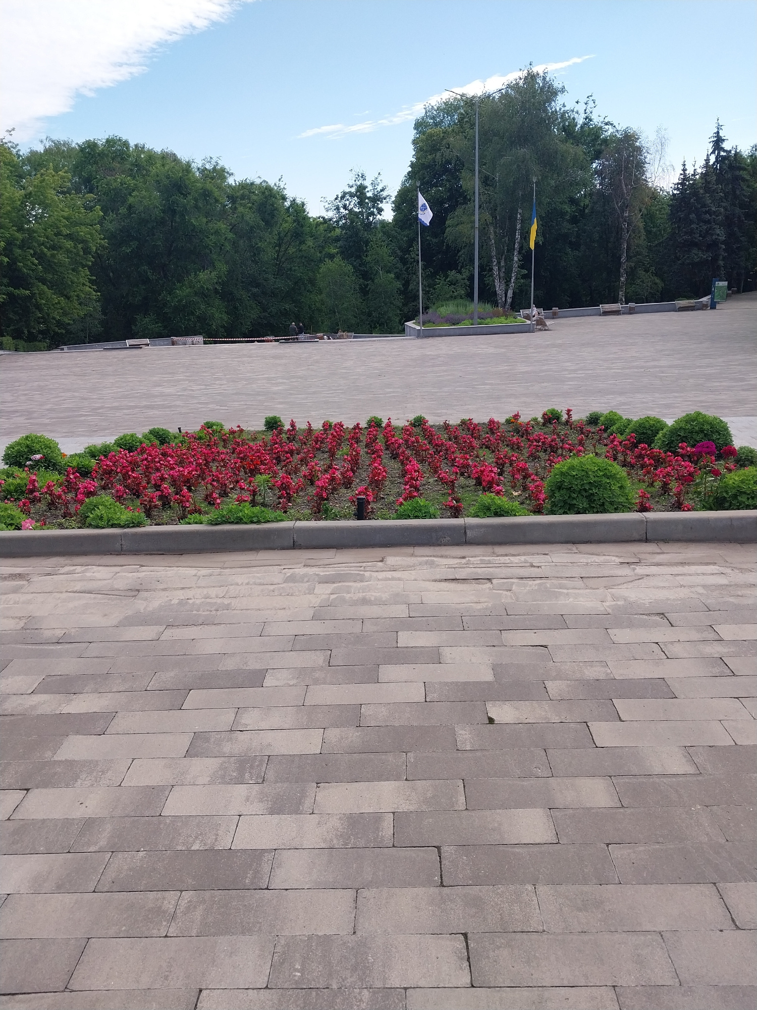 The image depicts an outdoor public space paved with grey rectangular bricks. In the foreground, the bricks are laid in a staggered pattern. A raised flower bed, bordered by a concrete curb, occupies the midground. The flower bed is densely planted with numerous small red flowers, interspersed with greenery and a few larger green bushes. In the background, a wide paved area stretches towards a line of trees. Two flags are visible: one is white with a blue emblem, and the other is yellow and blue, representing the Ukrainian flag. Several benches are positioned along the edge of the paved area, near the flags and trees. The sky above is blue with scattered white clouds.