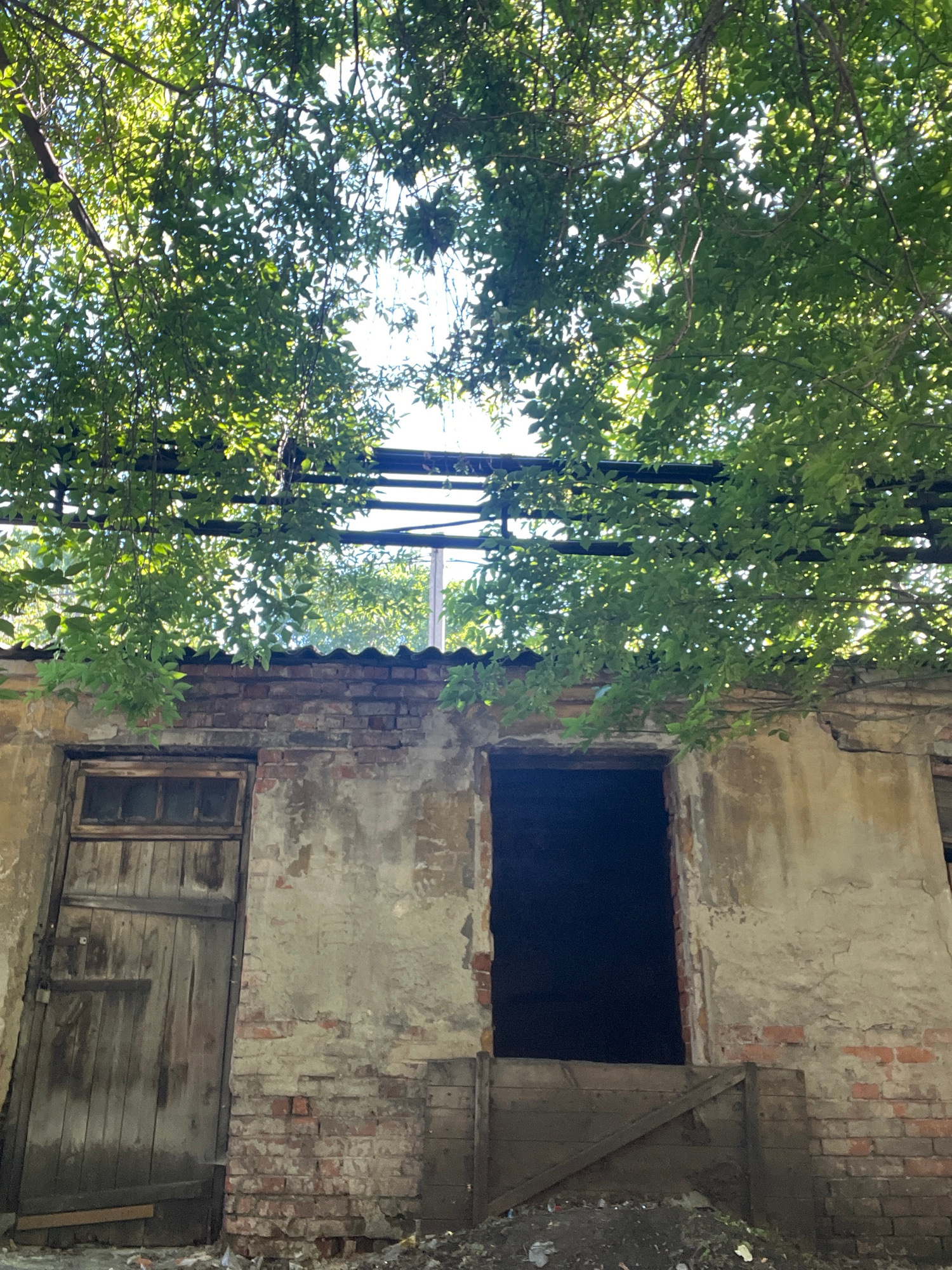 An eye-level, medium shot captures a weathered, abandoned building facade against a bright sky. Lush green foliage from an overhead tree drapes across the top of the frame, casting dappled shadows. The building's exterior is a mix of decaying brick and crumbling plaster. A large, rustic wooden door with a small paneled window at the top is on the left. To its right is a dark, gaping rectangular opening, presumably a window or doorway, with a crude wooden structure blocking the lower portion. The ground in front of the building is littered with debris and dirt. The scene appears to be in an outdoor, possibly rural or semi-urban setting, with no people or animals visible. The lighting suggests it is daytime, with sunlight filtering through the leaves. The overall impression is one of neglect and decay.