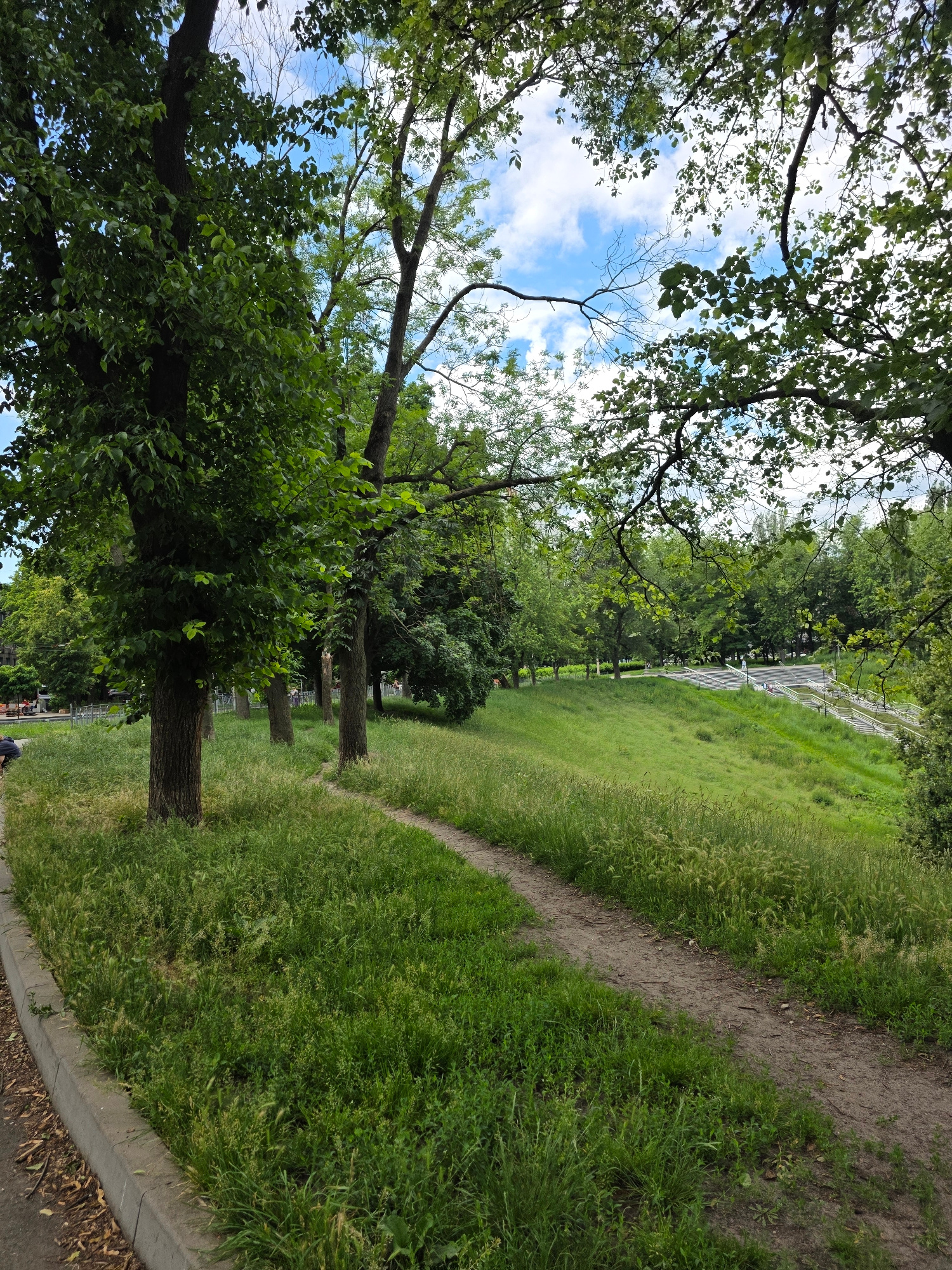 The image depicts a pathway winding through a grassy park, with trees lining the left side and a road visible in the distance on the right. The path is made of dirt and is flanked by tall, green grass. Several trees with dense green foliage are visible in the foreground, and more trees are present in the background, creating a lush, natural environment. The sky above is blue with scattered white clouds. In the far background, a road with vehicles can be seen, and a tiered structure resembling amphitheater seating is visible on a grassy hill to the right. A person is seated on a bench on the left side of the path. The scene appears to be a public park within a city.