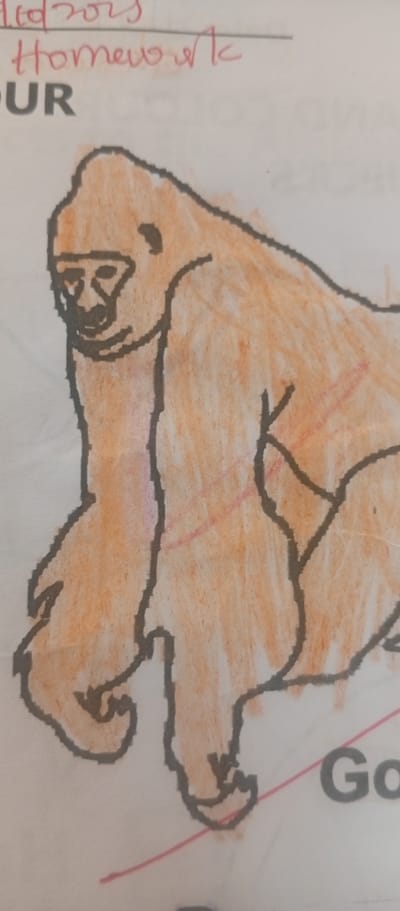 The image shows a partially colored drawing of a gorilla on a piece of paper, with some handwritten text above it. The gorilla is colored in orange and brown, with a black outline. The text above the drawing includes "Homework" and "OUR". There is also the word "Go" visible in the lower right corner. The background is a white paper surface. There is no information in the image to indicate its location in Jalingo, Nigeria, or any other specific city.