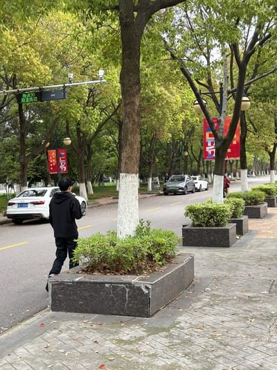 Here's a detailed description of the image:
**Setting and Environment:** The image appears to be taken on a tree-lined street in Jiangning District, China. The street has trees planted along the roadside, some with their lower trunks painted white. There are planters on the sidewalk and signs in Chinese characters attached to some of the trees. The day appears overcast.
**People:** A single person wearing a black hooded jacket and black pants is visible, standing on the side of the road and appearing to be photographing a white car.
**Objects:** Several cars are parked on the street. A white Audi is parked close to the person taking the photo. Streetlights with globe-shaped lamps are mounted on the trees. Traffic surveillance equipment is present, including a camera and signage with Chinese characters and the brand "unv". The license plate number on the car nearest to the person is A-7JC66.
**Actions and Interactions:** The visible person is engaged in taking a photograph. The cars are parked along the side of the road.