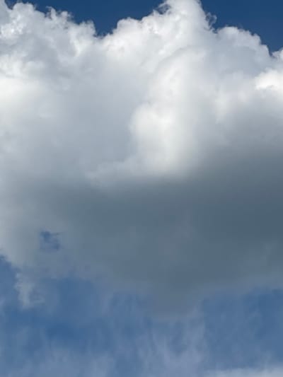 This is a close-up, vertical photograph of a cloudy sky, taken from a low angle. The majority of the frame is filled with large, white cumulus clouds, their edges soft and billowy. A portion of the sky on the left and right edges is visible, a deep blue color, indicating daytime. The lighting suggests it is mid-day, with the sun likely high in the sky, illuminating the clouds from above. The texture of the clouds ranges from bright white where they catch the light directly, to softer, grayish tones in the shadows. There are no people, objects, or discernible location cues in the image other than the sky itself, which is a universal scene. The weather appears to be fair, with puffy clouds typical of a sunny day. The photograph captures a serene and expansive natural scene.