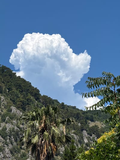 The image depicts a mountainous landscape under a clear blue sky in Škaljari, Montenegro. A large, fluffy white cumulus cloud dominates the upper portion of the frame, positioned above a densely forested mountainside. The mountain slopes are covered with a variety of green trees, with rocky outcrops visible in places. In the foreground, a palm tree with long, drooping fronds stands to the left of the frame, while a leafy tree with smaller, darker green foliage occupies the right side. The overall scene is natural and serene, suggesting a daytime view.