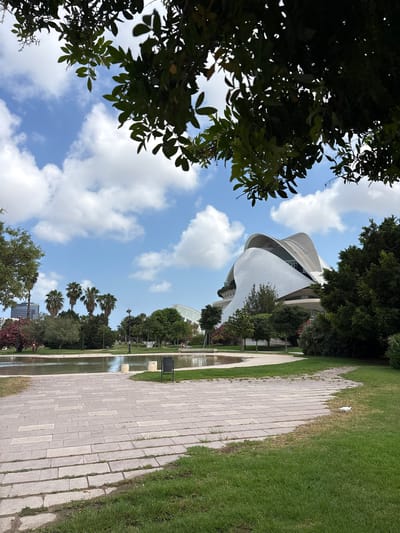 The image depicts a scene within the City of Arts and Sciences in Valencia, Spain. In the foreground, a paved walkway made of light-colored rectangular stones curves through lush green grass. Beyond the walkway, a shallow, still body of water reflects the sky and surrounding vegetation. A black trash bin and two short, cylindrical bollards are visible on the edge of the water.
In the middle ground, a variety of trees and palm trees are situated. Behind the trees, the distinctive white, organic architecture of one of the City of Arts and Sciences buildings, likely the Palau de les Arts Reina Sofía, is prominent. Its undulating roof structure and smooth, curved surfaces are characteristic of Santiago Calatrava's design. The sky above is a bright blue, dotted with fluffy white clouds. Dark green foliage from trees in the immediate foreground frames the top of the image, casting shadows and adding depth to the scene. The overall atmosphere is one of a serene and modern urban park.