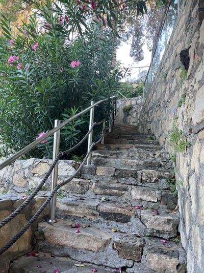 An outdoor stone staircase ascends alongside a textured stone wall, under the shade of a vibrant green bush with pink flowers. A metal railing with thick rope handrails runs along the left side of the stairs, leading upwards. The stone steps are irregular and worn, with fallen pink flower petals scattered across them. Sunlight filters through the leaves of the bush and branches of trees overhead, casting dappled light on the scene. The glass paneling of a building can be seen in the upper right corner, reflecting the sky and surrounding foliage. The environment suggests a naturalistic outdoor setting, possibly within a garden or a terraced area.