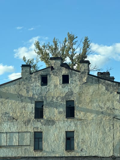 This is a medium shot, eye-level photograph of the upper facade of an old, weathered building in Saint Petersburg, Russia, under a partly cloudy blue sky. The building's plaster is peeling extensively, revealing a lighter underlayer and patches of darker material, giving it a distressed and aged appearance. Multiple dark-framed windows are visible; some are intact, while others appear broken or empty. Two prominent chimneys rise from the roofline, one with visible brickwork at its top. Lush green trees with bare branches are growing out of the roof between the chimneys. The overall impression is one of urban decay and nature reclaiming a man-made structure.