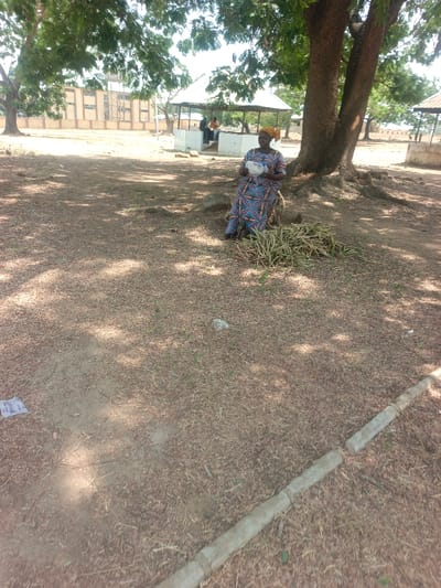 An adult female is seated under a large, multi-trunked tree in an outdoor area of Akwanga, Nigeria. She is wearing a patterned dress and a yellow headscarf, holding a white, translucent plastic bag in her lap. To her right, a pile of green plant stems rests on the reddish-brown, dry earth. The ground is largely unpaved, covered with sparse dry grass and leaf litter, exhibiting mottled sunlight and shadow. A low, light-colored concrete curb extends diagonally across the lower right foreground. In the mid-ground, an open-sided shelter with a light-colored pyramidal roof houses at least two individuals who are partially obscured. In the background, a multi-story building with dark windows and an elevated water tower is visible behind a low wall, alongside other distant structures. The scene is illuminated by bright daylight.
