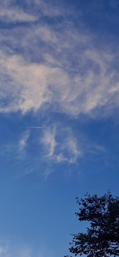 A vertical, medium shot captures a clear blue sky with scattered wispy white clouds. A thin, white contrail from an airplane stretches horizontally across the upper-middle portion of the sky. In the lower right corner, the dark silhouette of a tree with leaves is visible against the bright sky. The scene appears to be an outdoor environment in Vallecito, Venezuela.