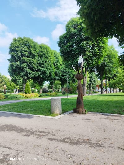 This image depicts a sunlit urban park in Elin Pelin, Bulgaria, characterized by extensive green spaces and mature trees under a partially cloudy blue sky.

In the immediate foreground, an asphalt pathway occupies the lower portion of the frame, showing patches of dampness or staining and scattered small debris such as leaves and seeds. A light grey concrete curb delineates the pathway from a manicured grassy area to the right. Centered in the mid-foreground, a cylindrical concrete trash receptacle stands on the edge of the path. To its left, slightly further back, is a carved wooden sculpture. This sculpture features a dark, roughly textured tree trunk base supporting a nest containing two storks. The storks are primarily white with prominent black markings on their wings and reddish beaks and legs. One stork is larger and stands upright, while a smaller stork is positioned to its left.

The midground showcases a lush park environment. Multiple large deciduous trees with dense, green canopies dominate, some casting shadows across the ground. Between the trees, areas of vibrant green grass are visible, along with various smaller shrubs and evergreen plants. A paved path, presumably a continuation of the foreground path, extends into the distance. Several indistinct figures of people are visible further back along this path, some appearing to be walking, while others may be seated on park benches visible beneath the trees. A dark-poled street light fixture is positioned to the left of the stork sculpture. Portions of a light-colored building are discernible through the foliage in the far midground on the right.

The background consists of a bright blue sky with scattered white cumulus clouds, visible above the tall tree line. Further distant trees and what appear to be more urban structures are faintly visible in the far background. The lighting suggests a clear, sunny daytime. A "REDMI NOTE 11 PRO 5G" watermark is present in the bottom left corner of the image.